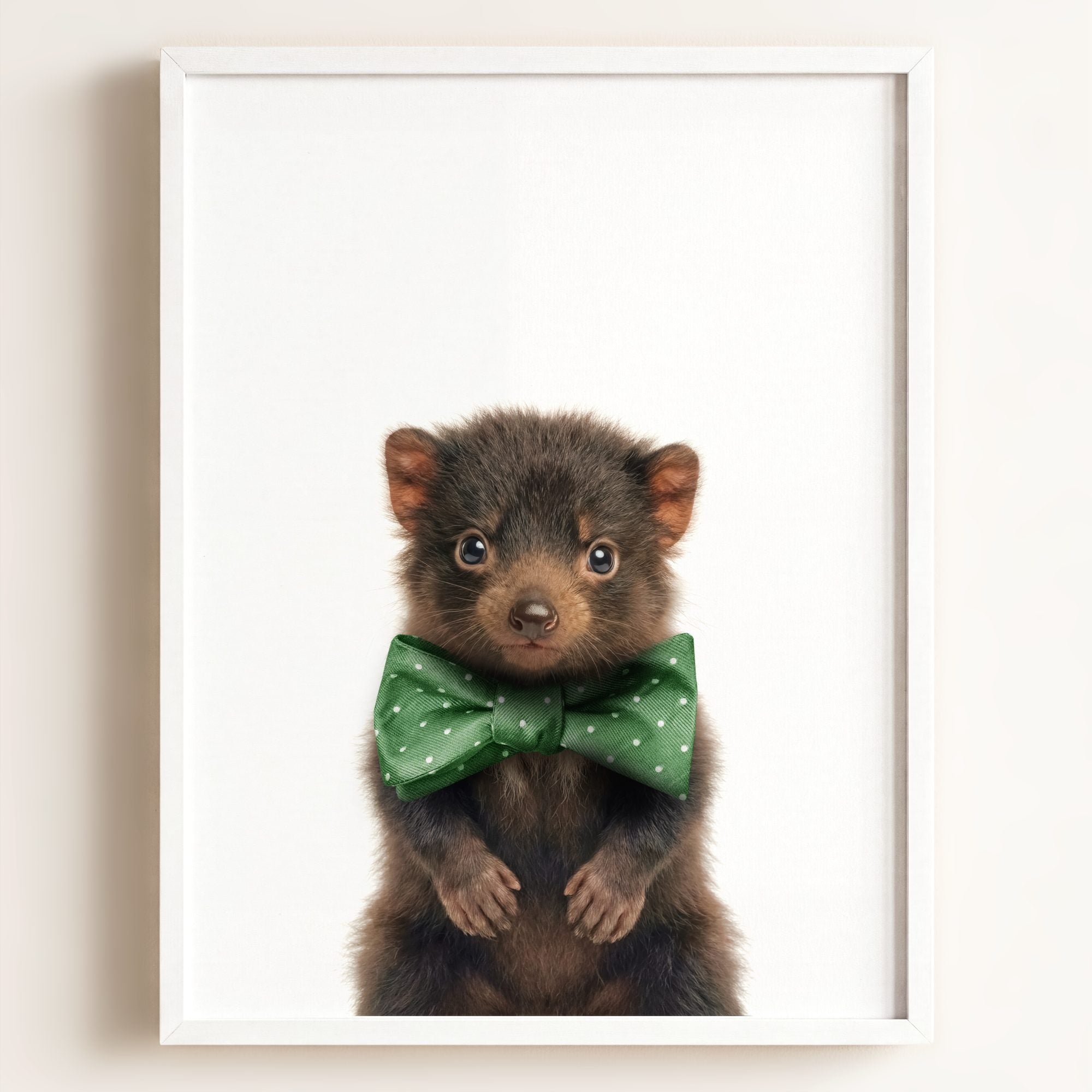 Baby Tasmanian Devil