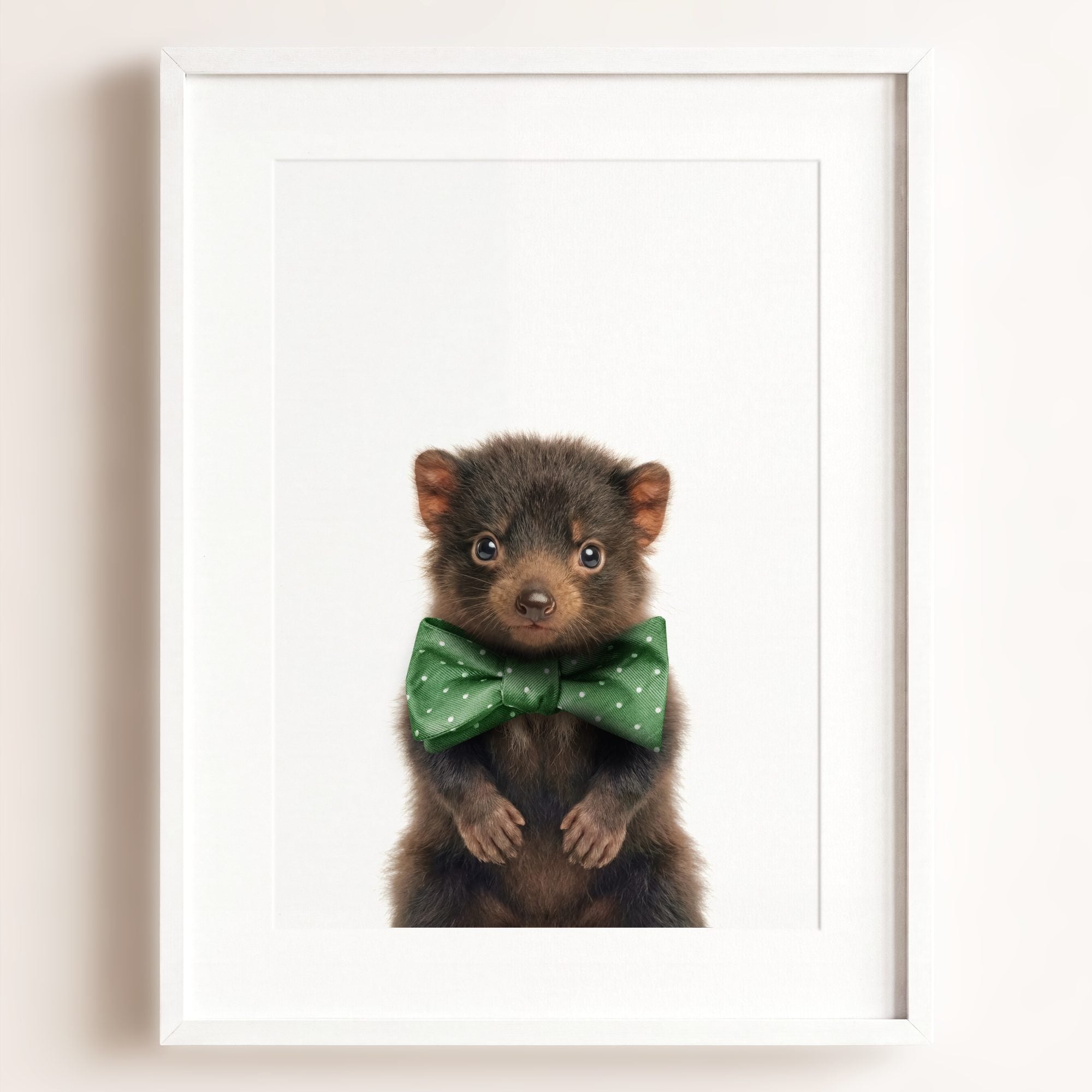 Baby Tasmanian Devil