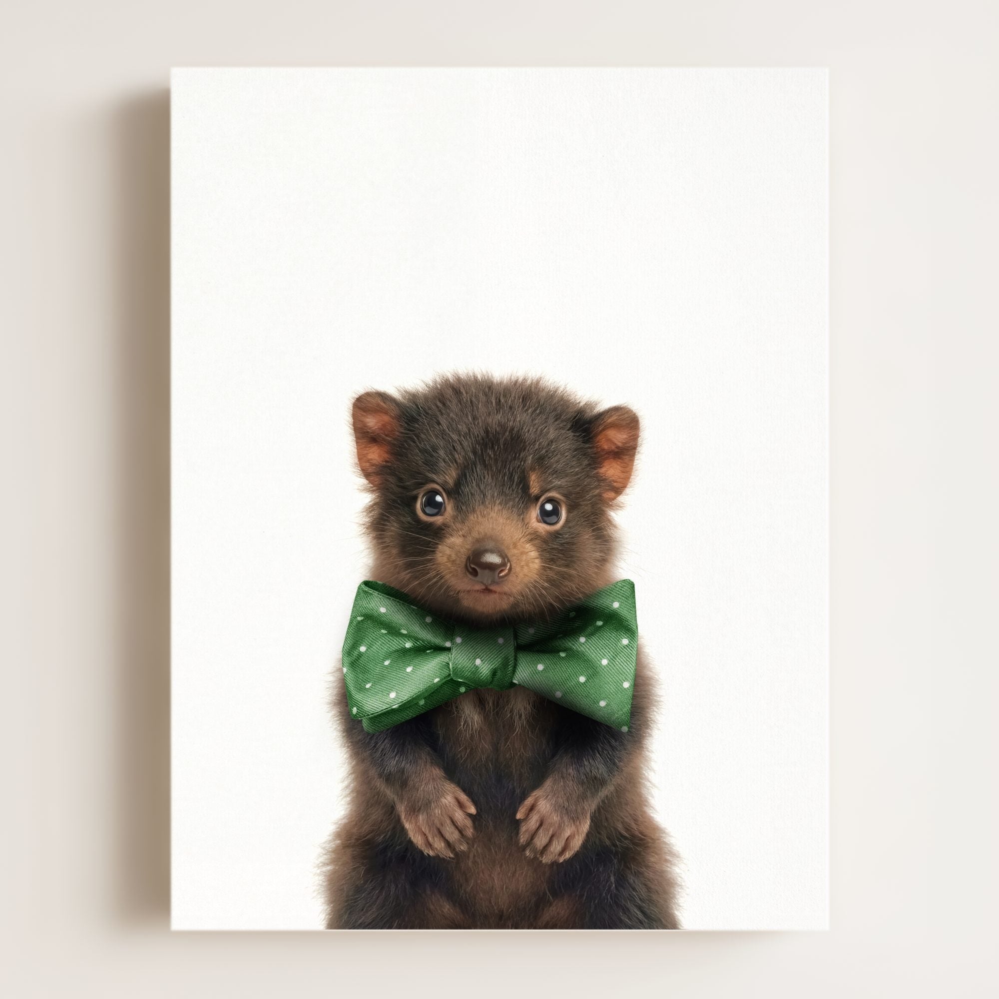 Baby Tasmanian Devil