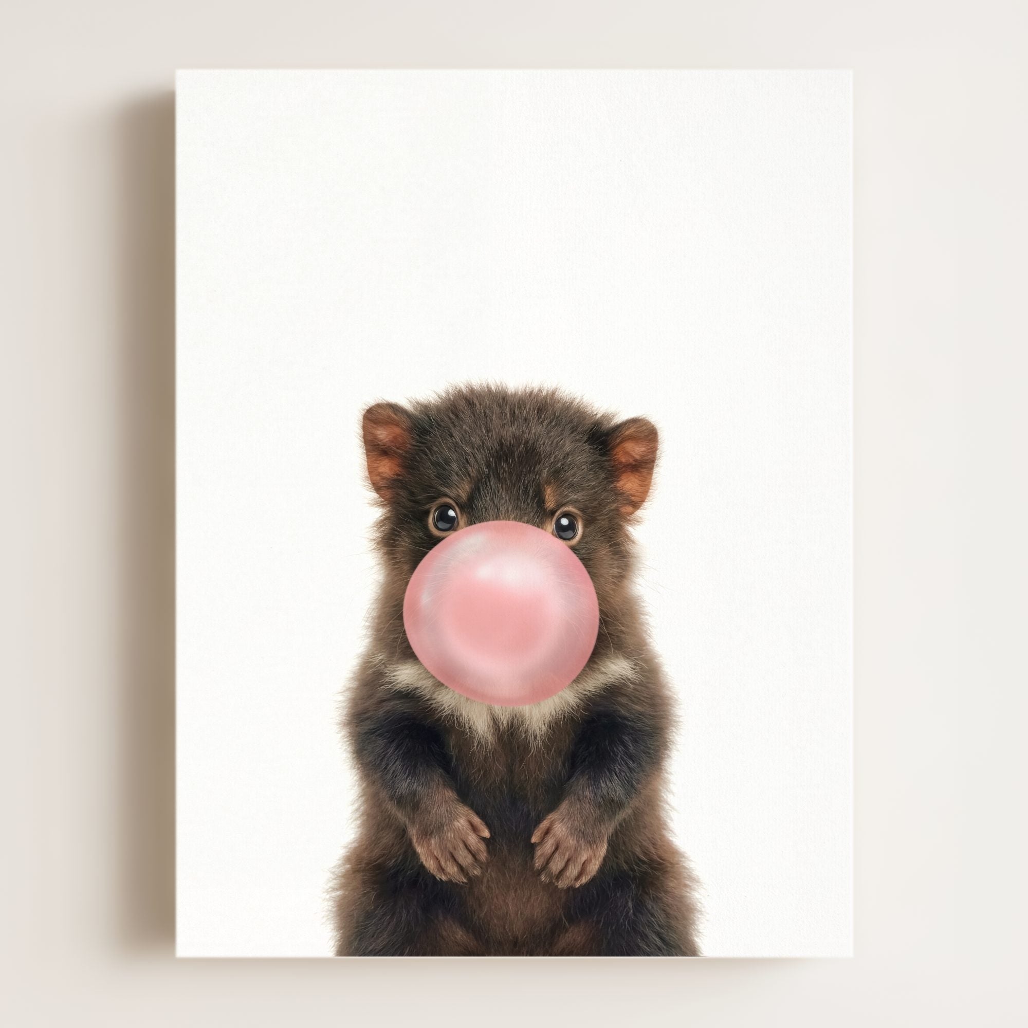 Baby Tasmanian Devil