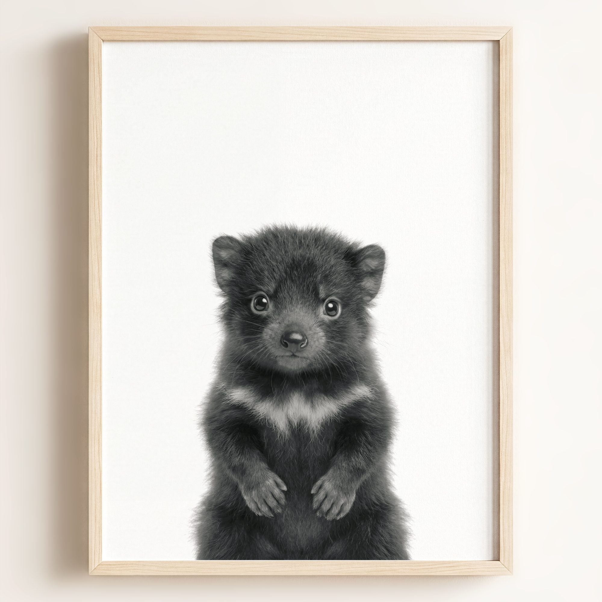 Baby Tasmanian Devil