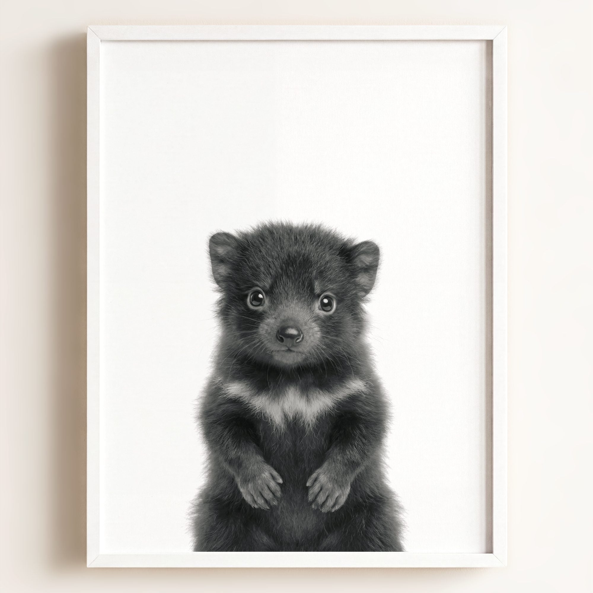 Baby Tasmanian Devil