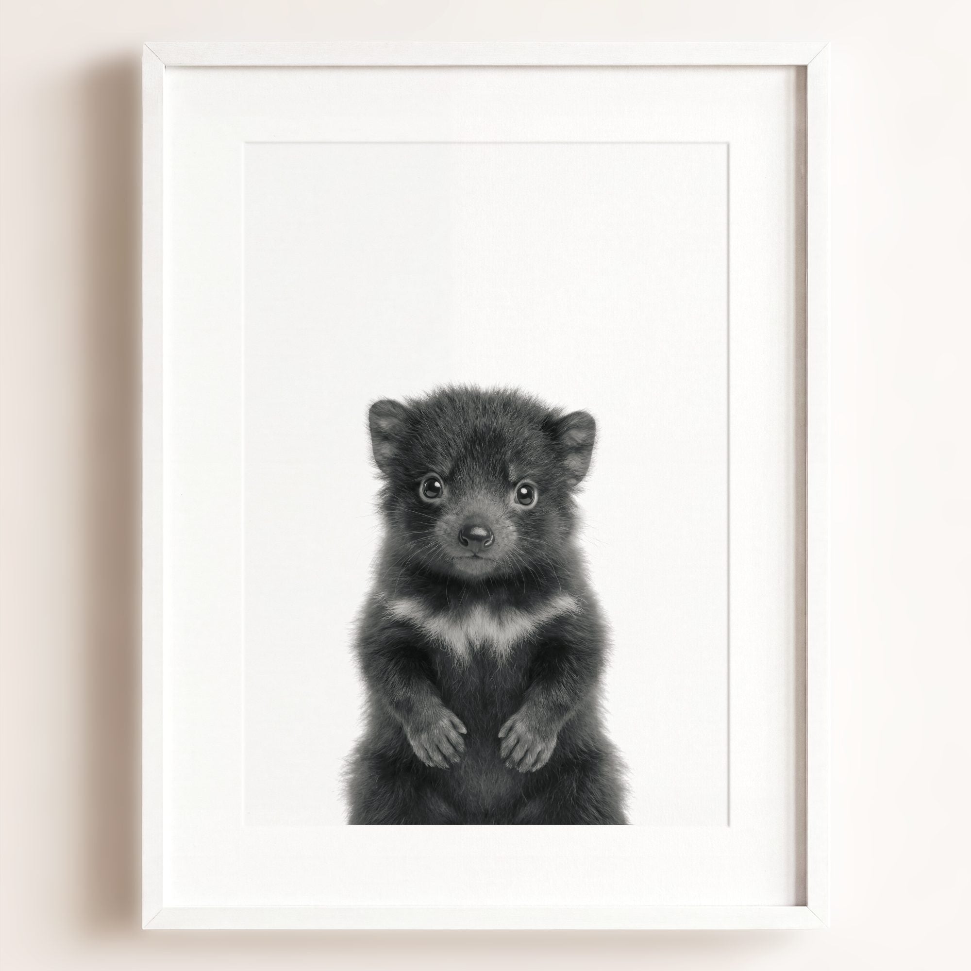 Baby Tasmanian Devil