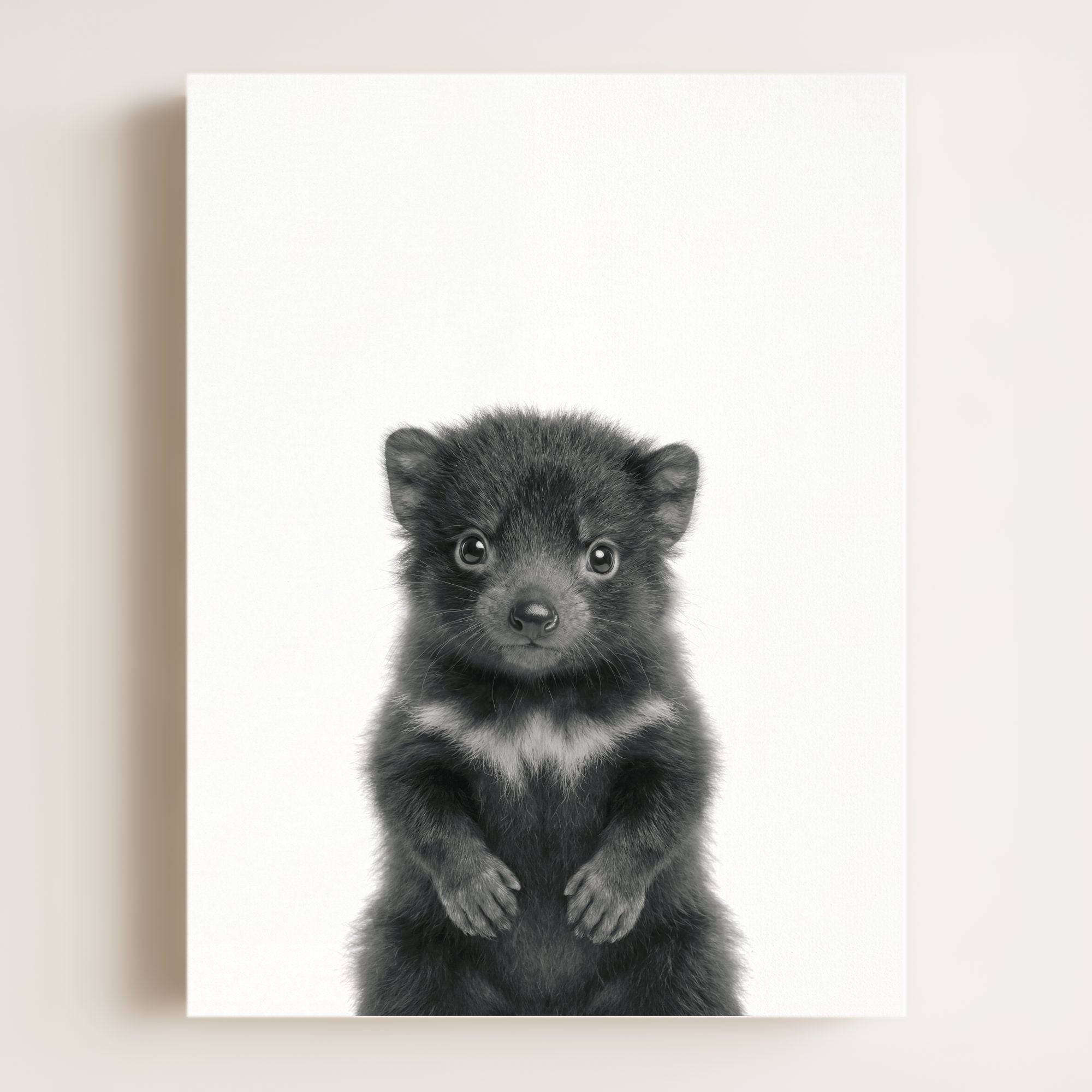 Baby Tasmanian Devil