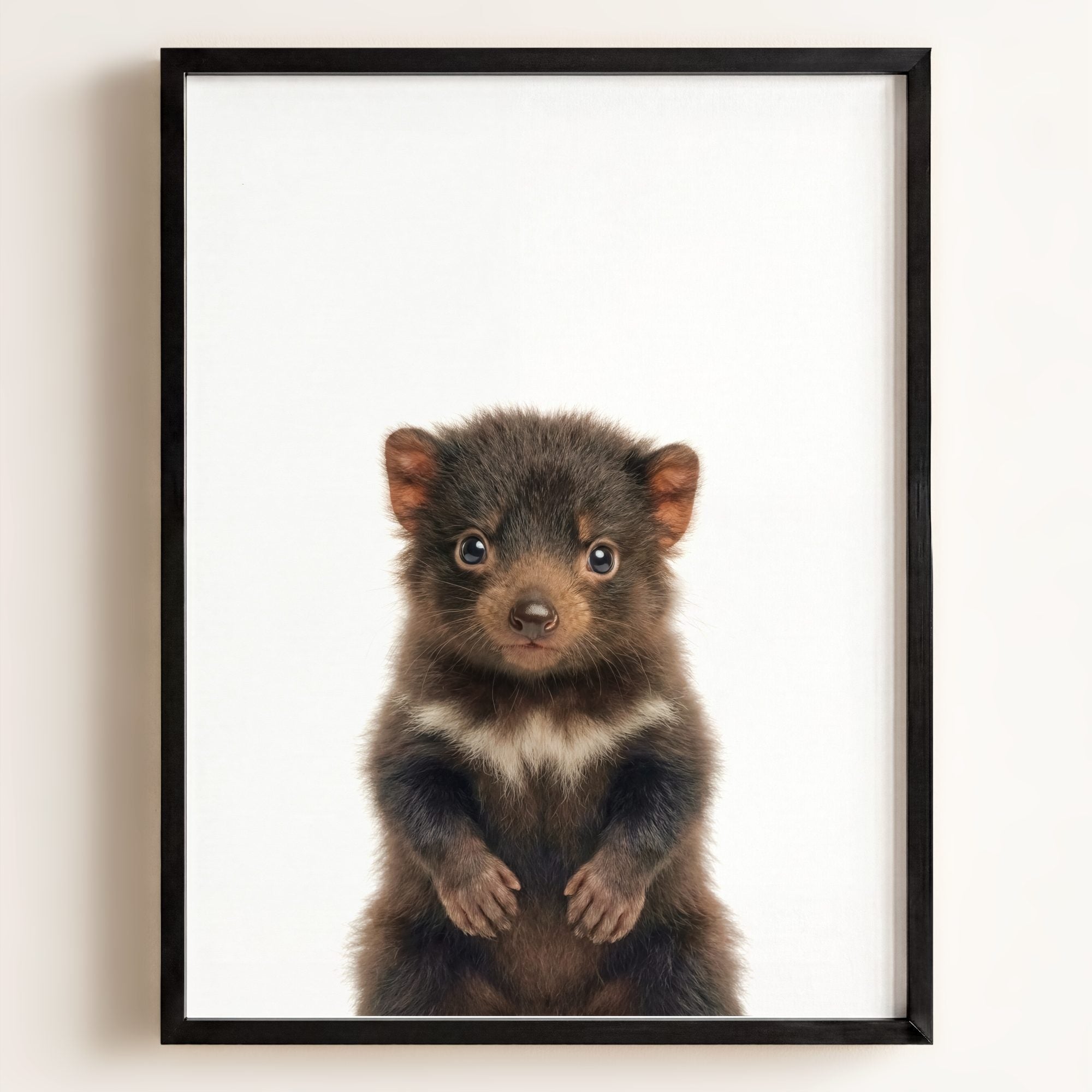 Baby Tasmanian Devil