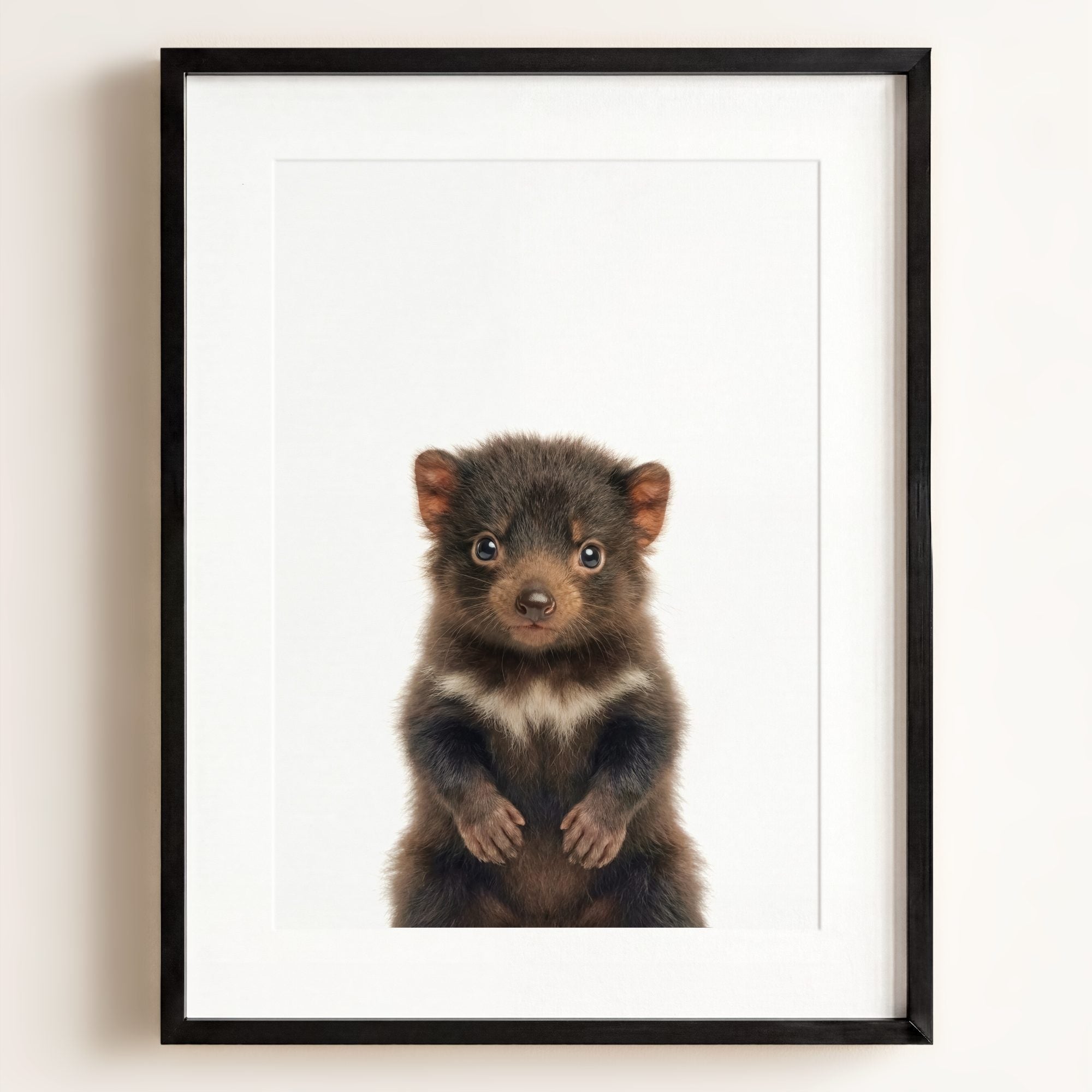 Baby Tasmanian Devil