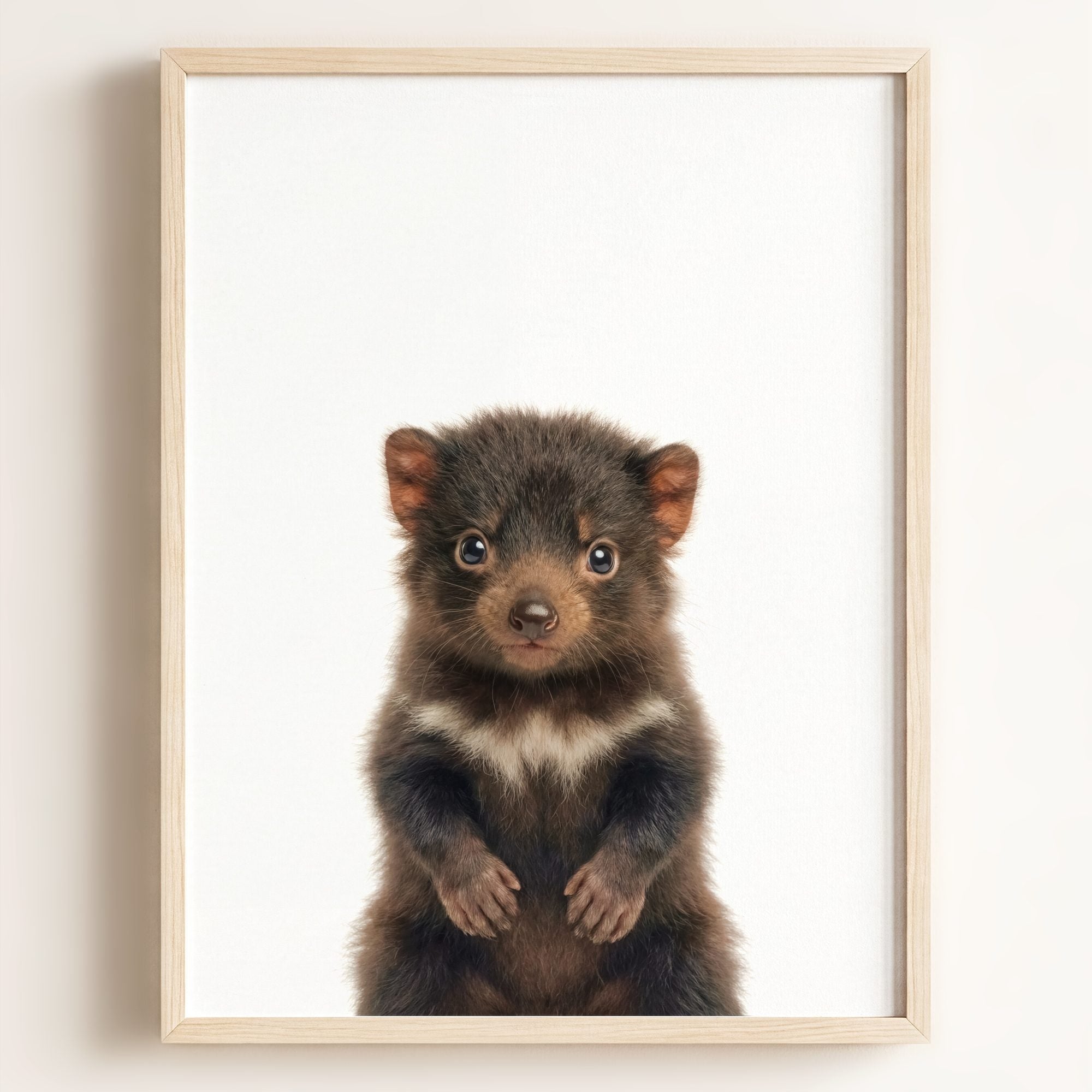 Baby Tasmanian Devil