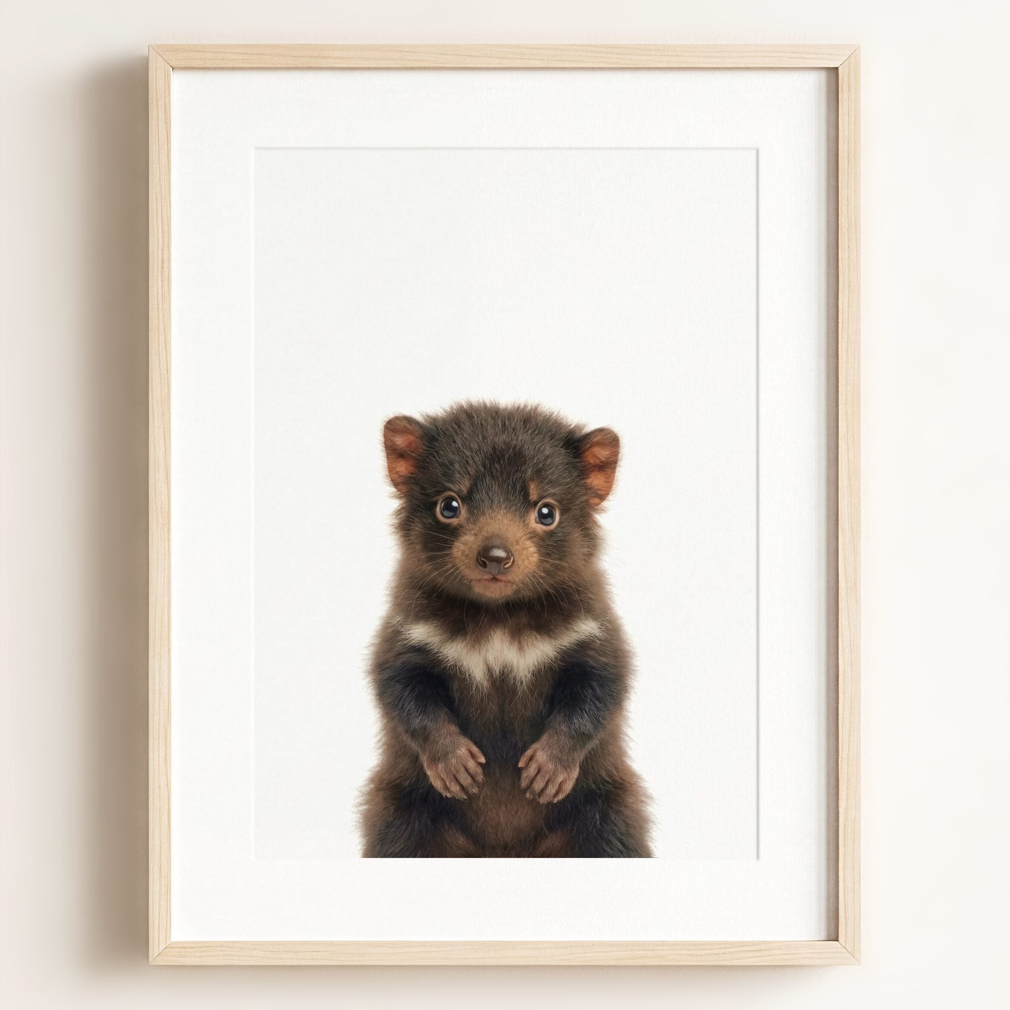 Baby Tasmanian Devil