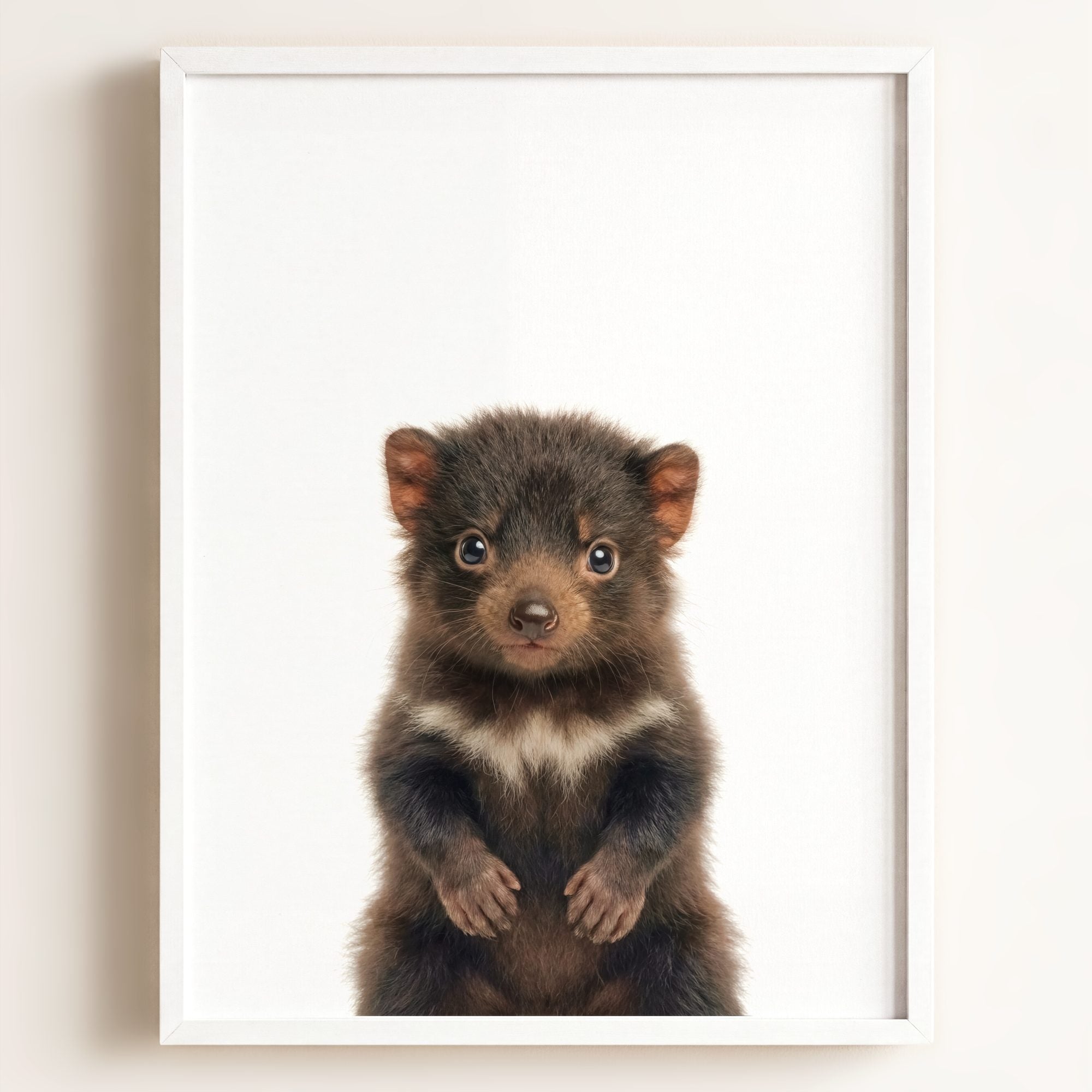 Baby Tasmanian Devil