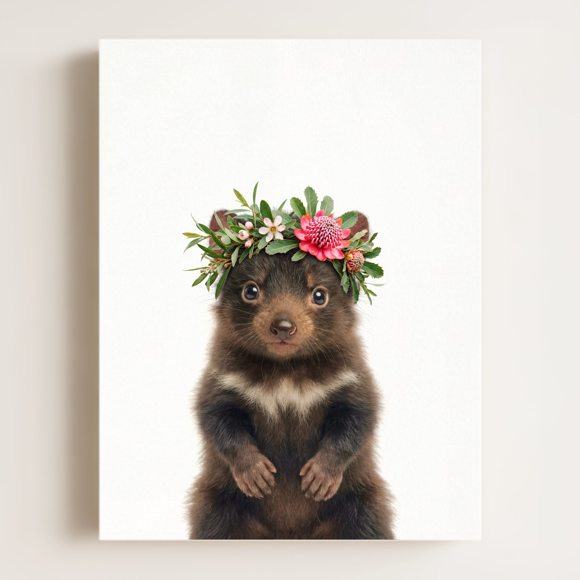 Baby Tasmanian Devil