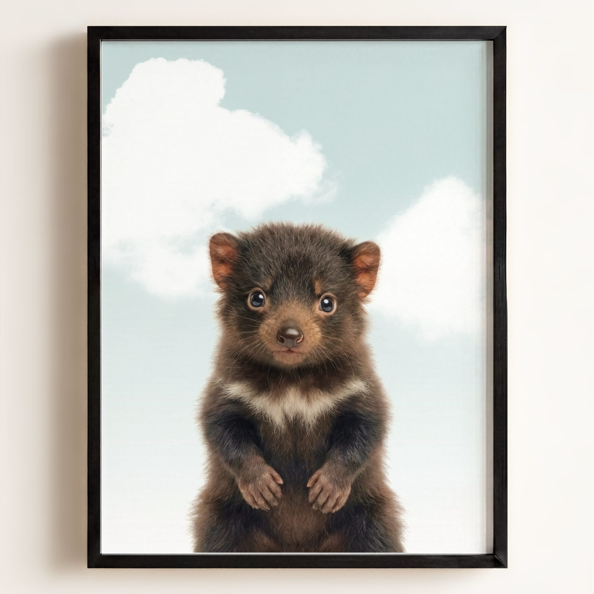 Baby Tasmanian Devil