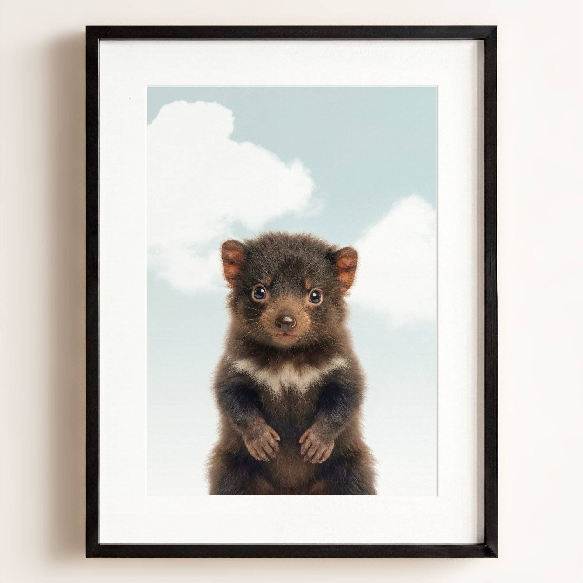 Baby Tasmanian Devil