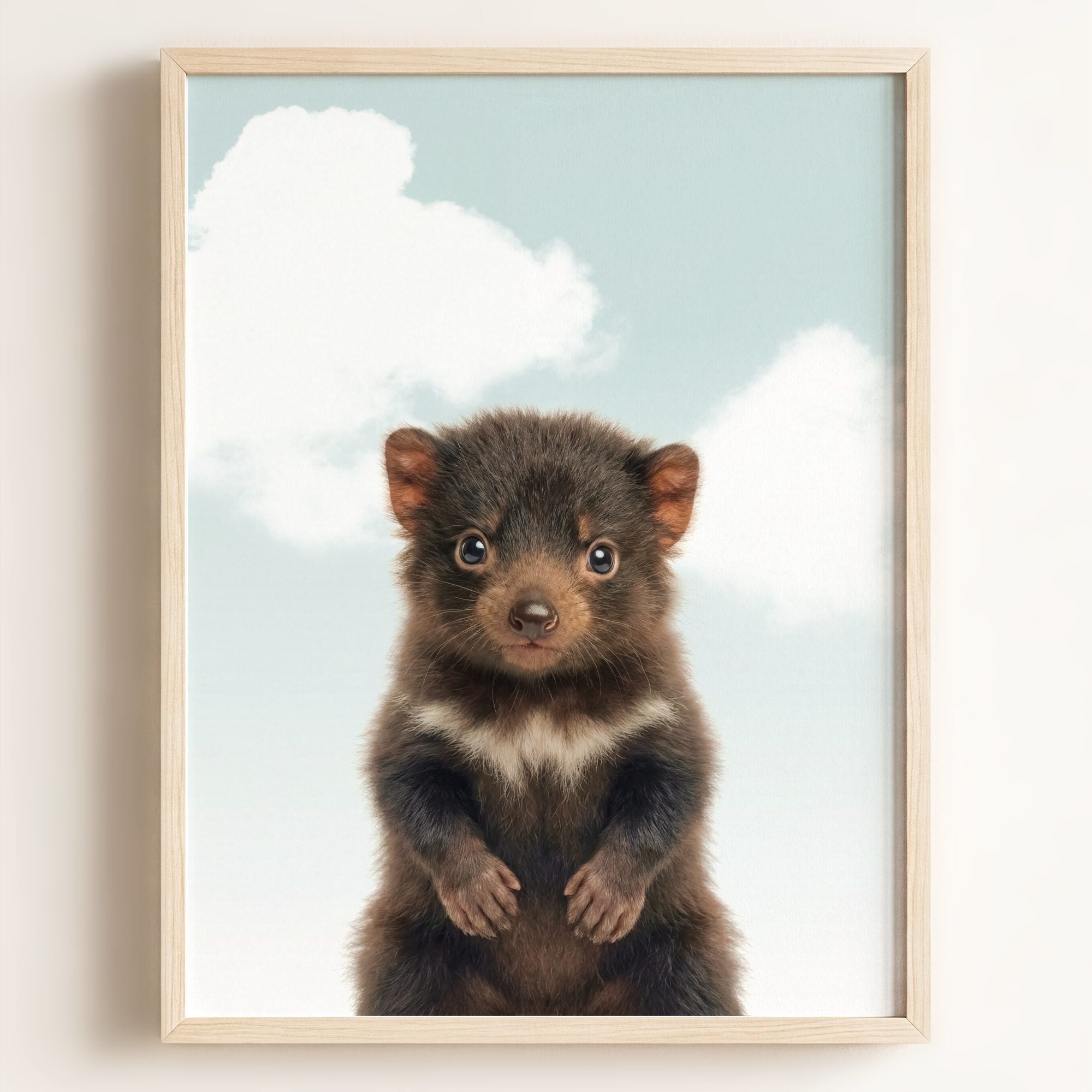 Baby Tasmanian Devil