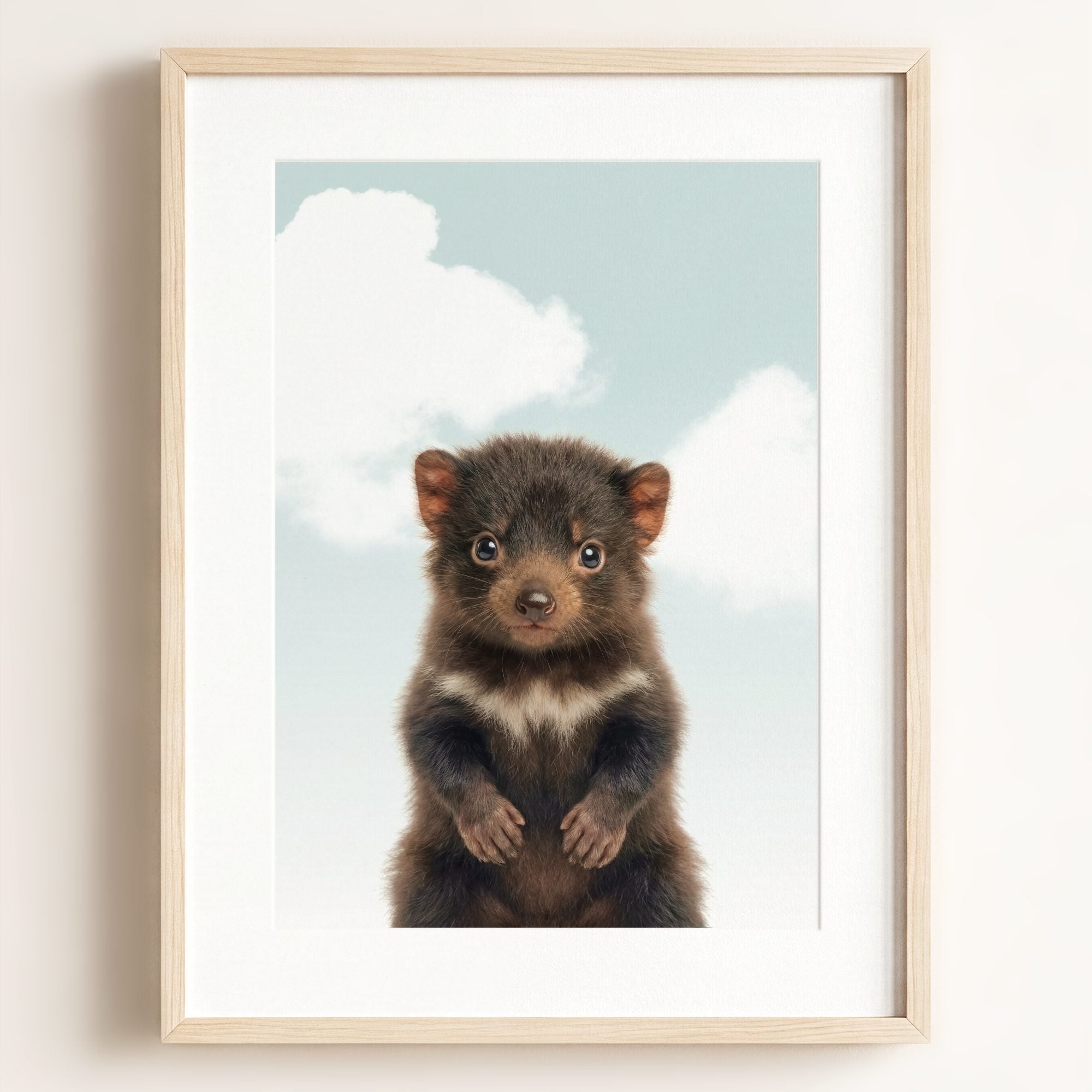 Baby Tasmanian Devil