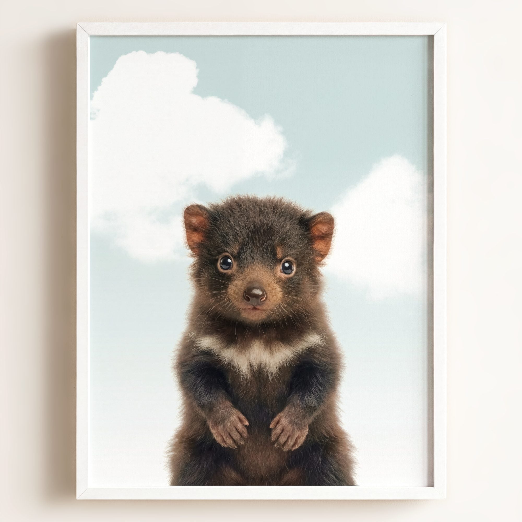 Baby Tasmanian Devil