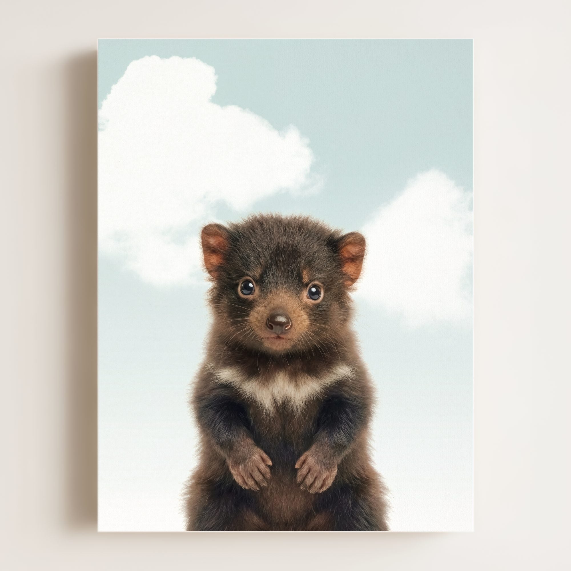 Baby Tasmanian Devil