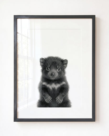 Baby Tasmanian Devil