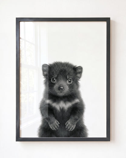 Baby Tasmanian Devil