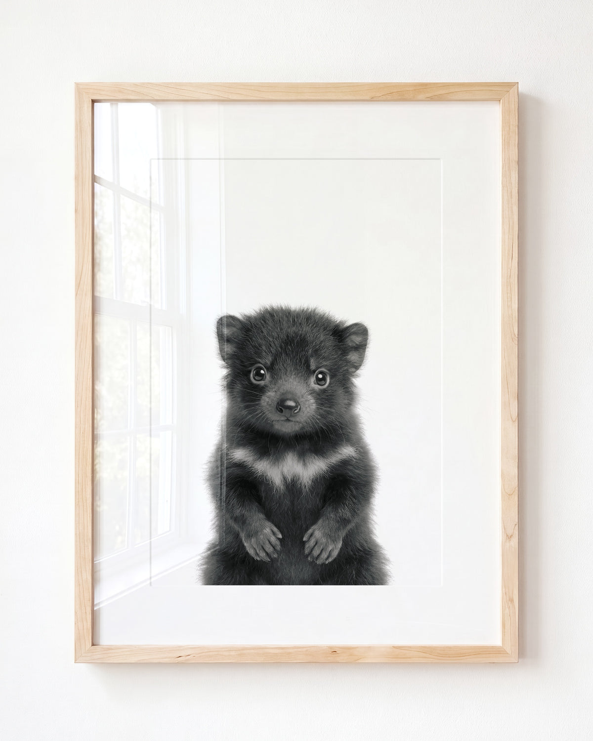 Baby Tasmanian Devil