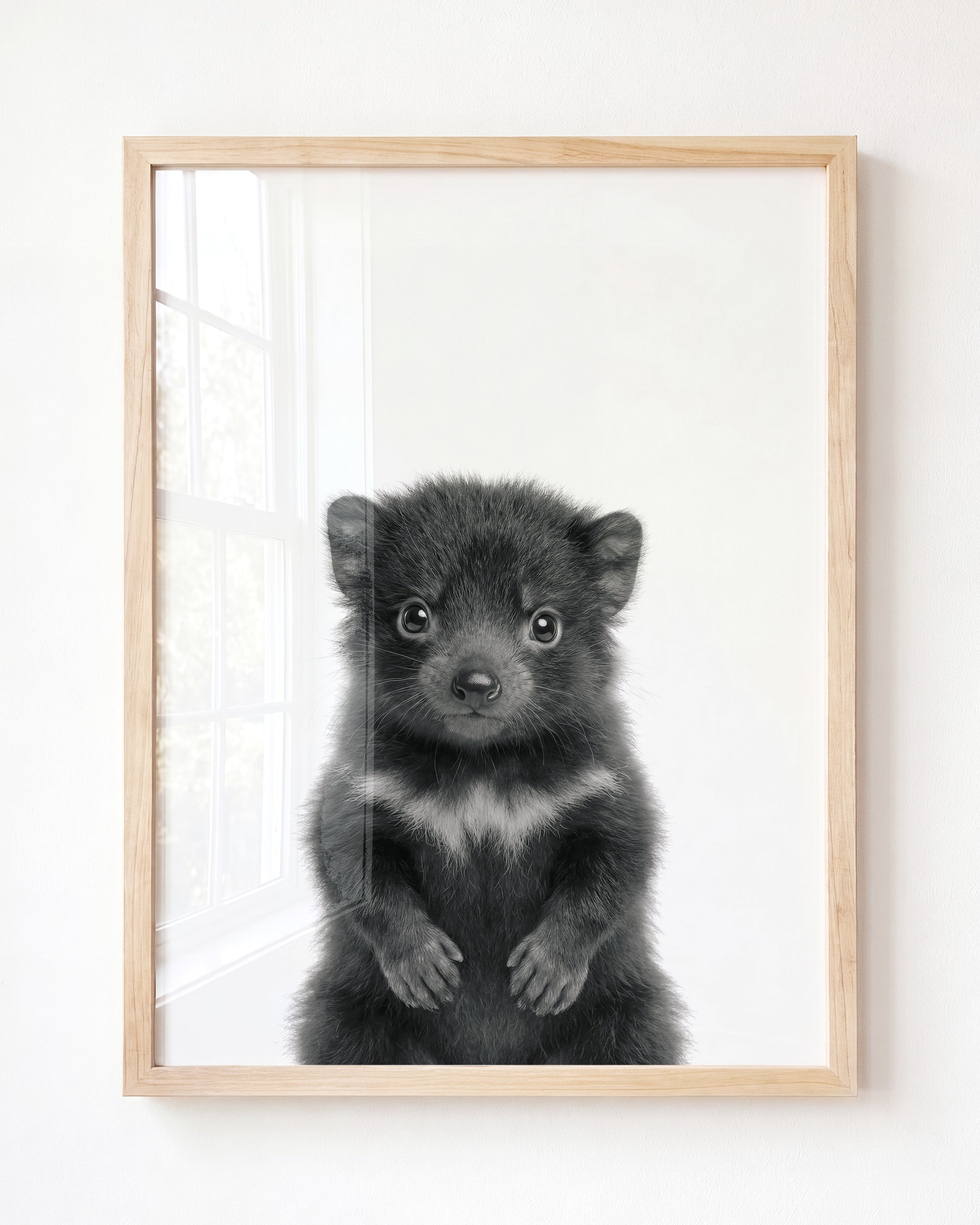 Baby Tasmanian Devil