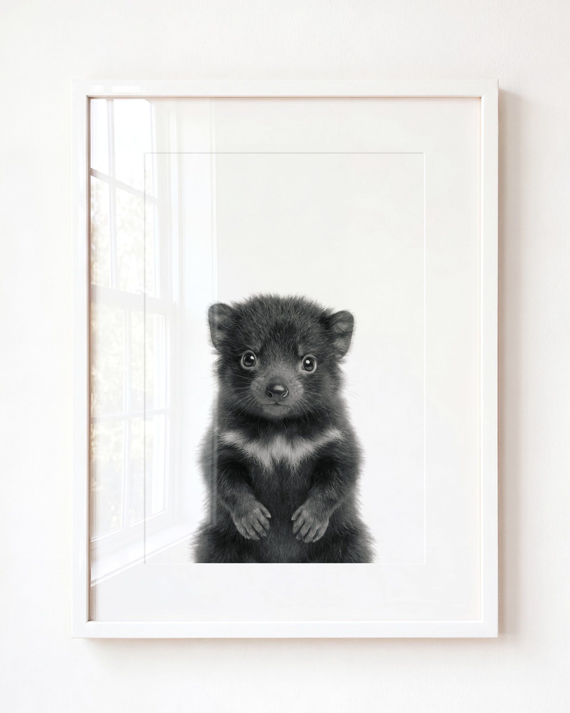 Baby Tasmanian Devil