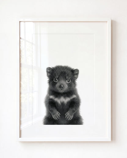 Baby Tasmanian Devil