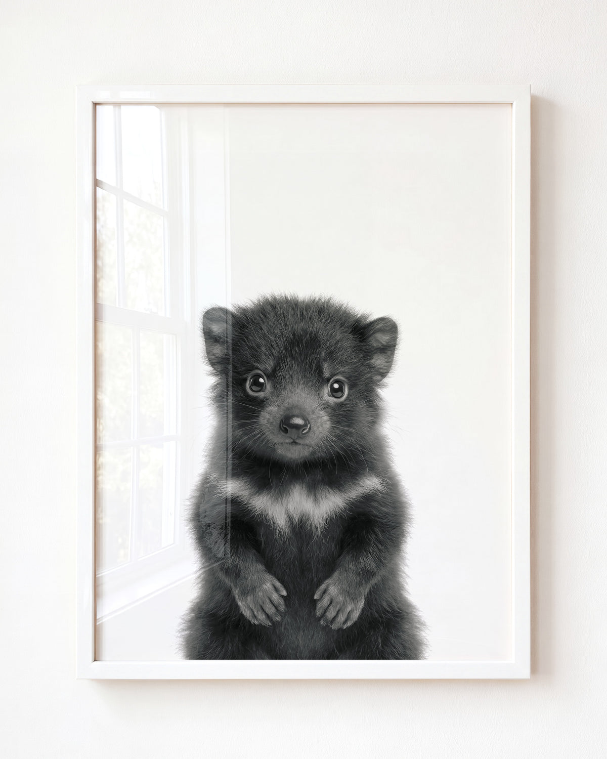 Baby Tasmanian Devil