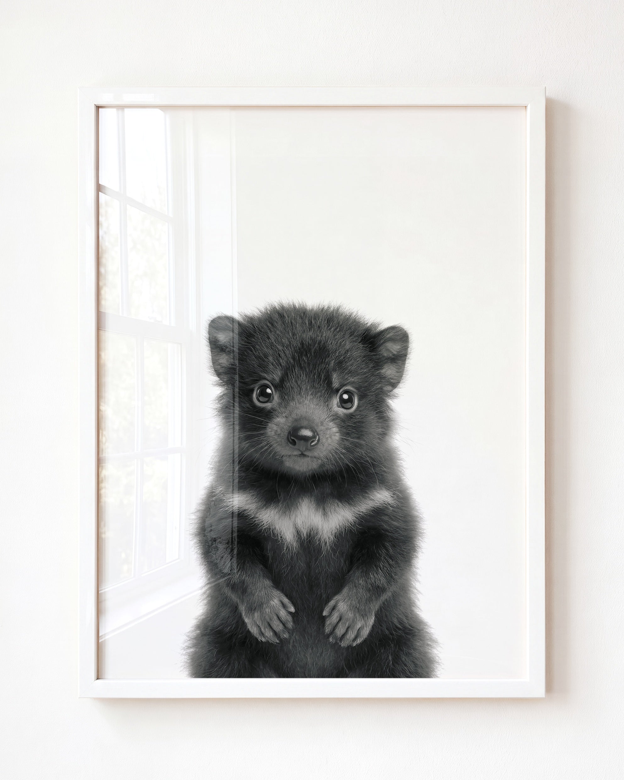Baby Tasmanian Devil