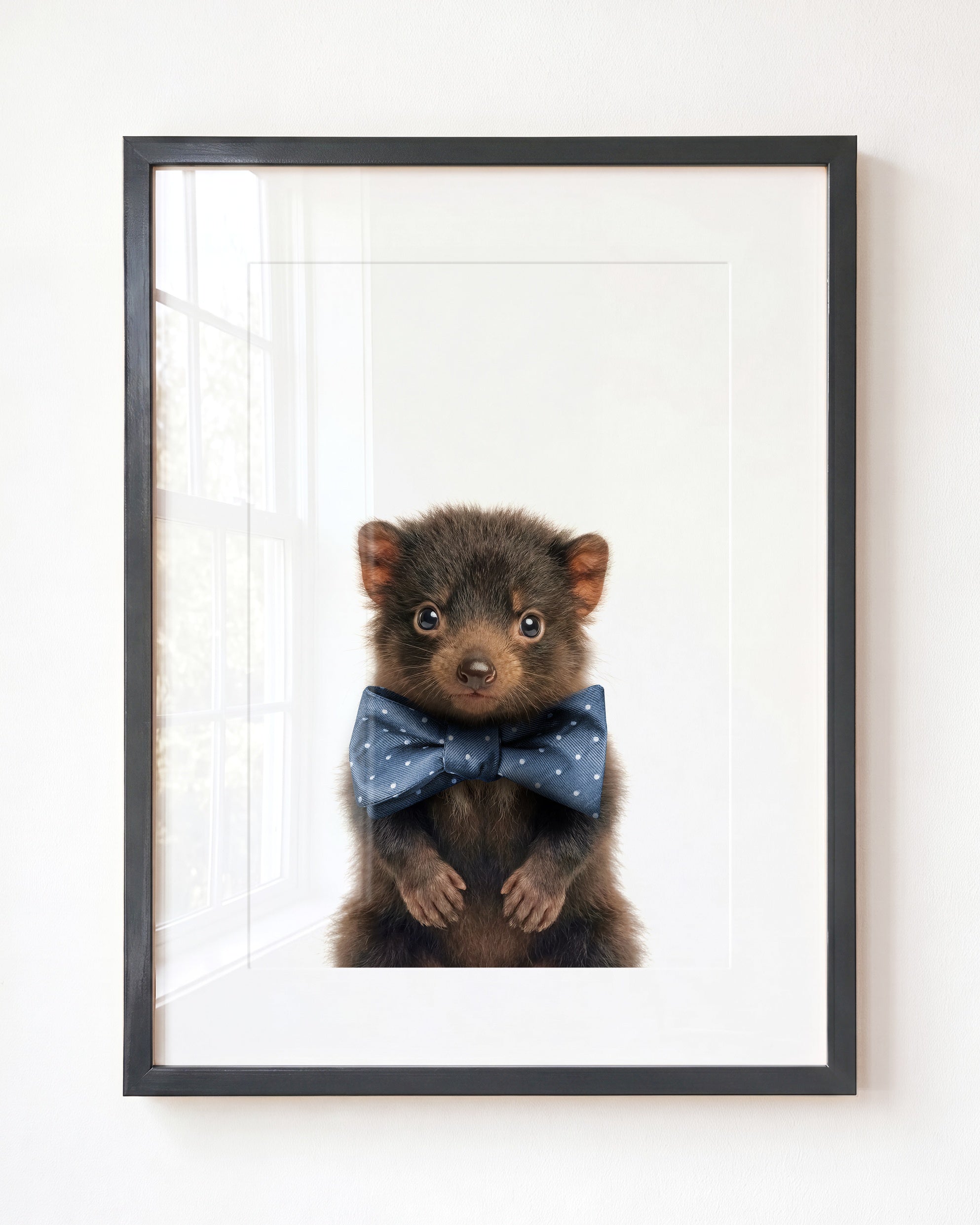 Baby Tasmanian Devil