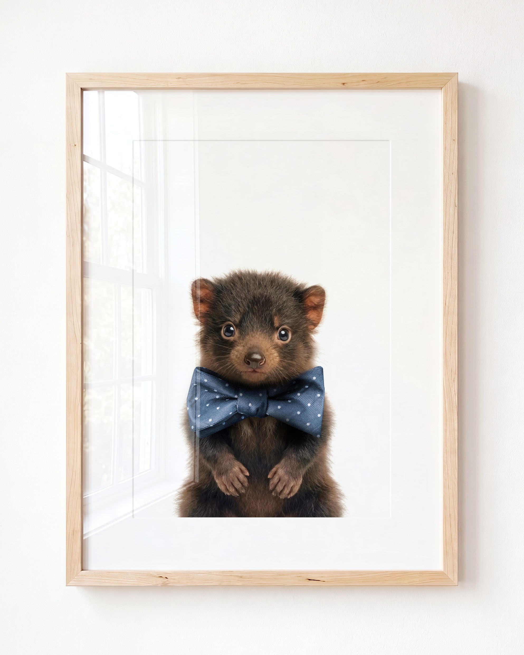 Baby Tasmanian Devil