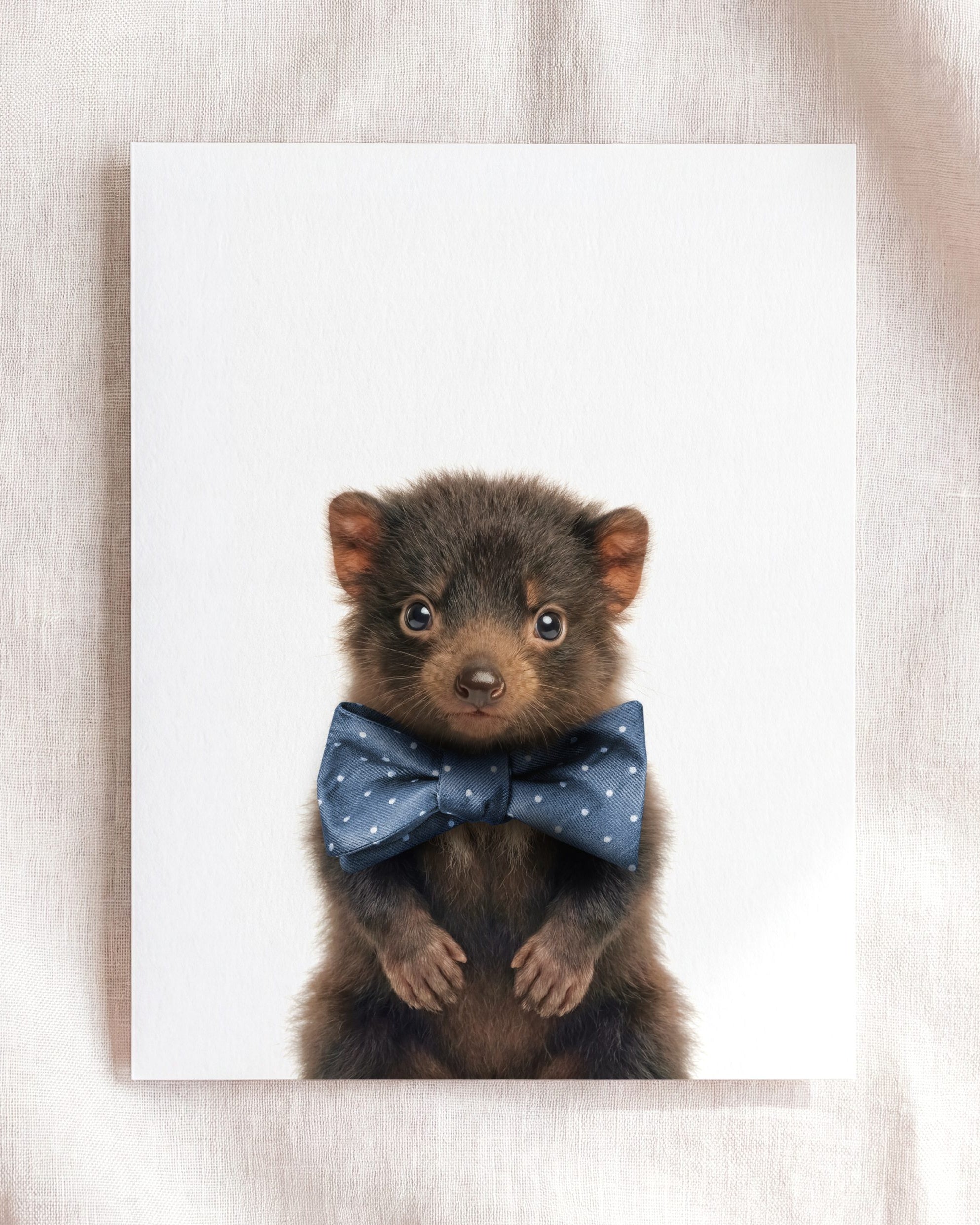 Baby Tasmanian Devil