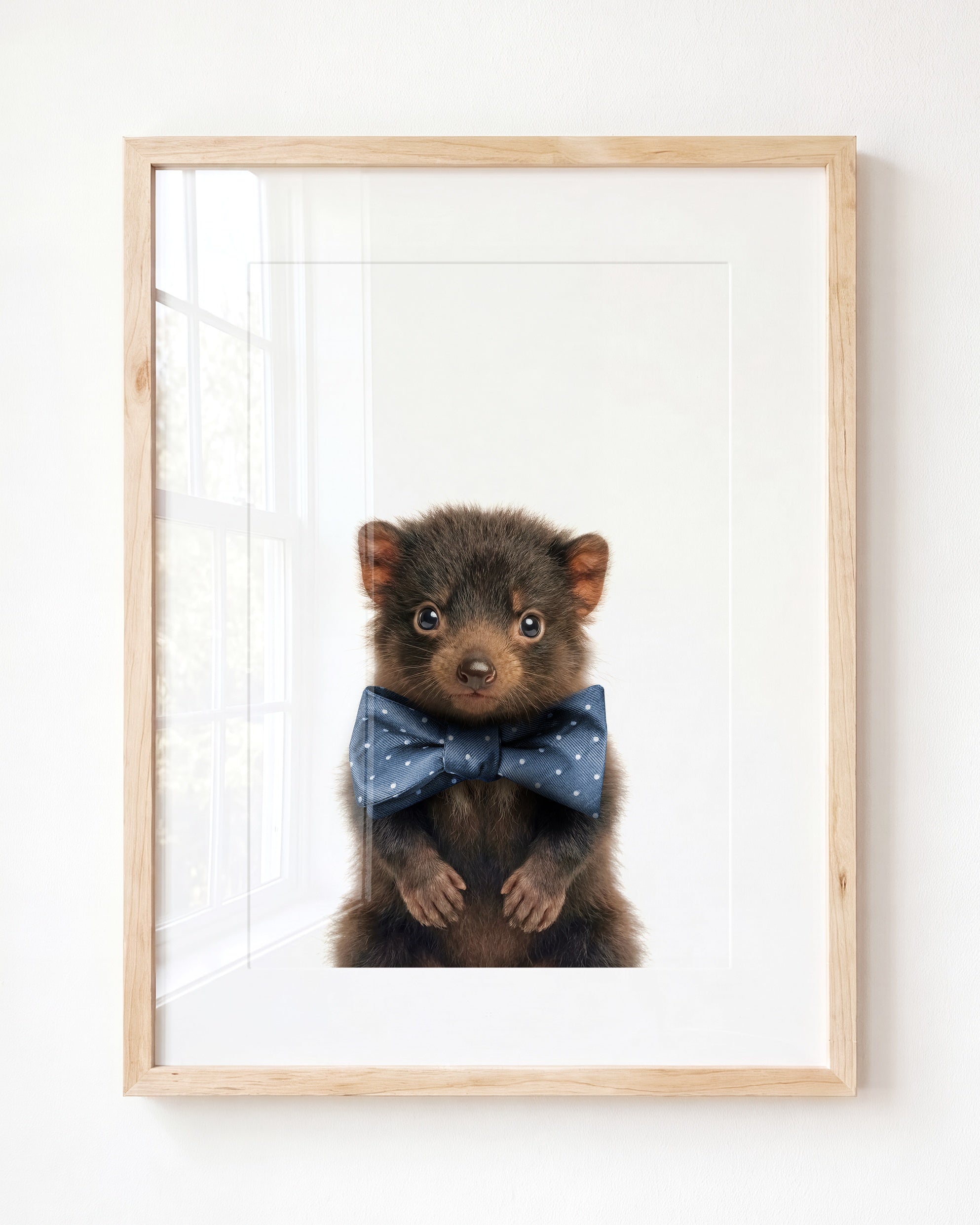 Baby Tasmanian Devil
