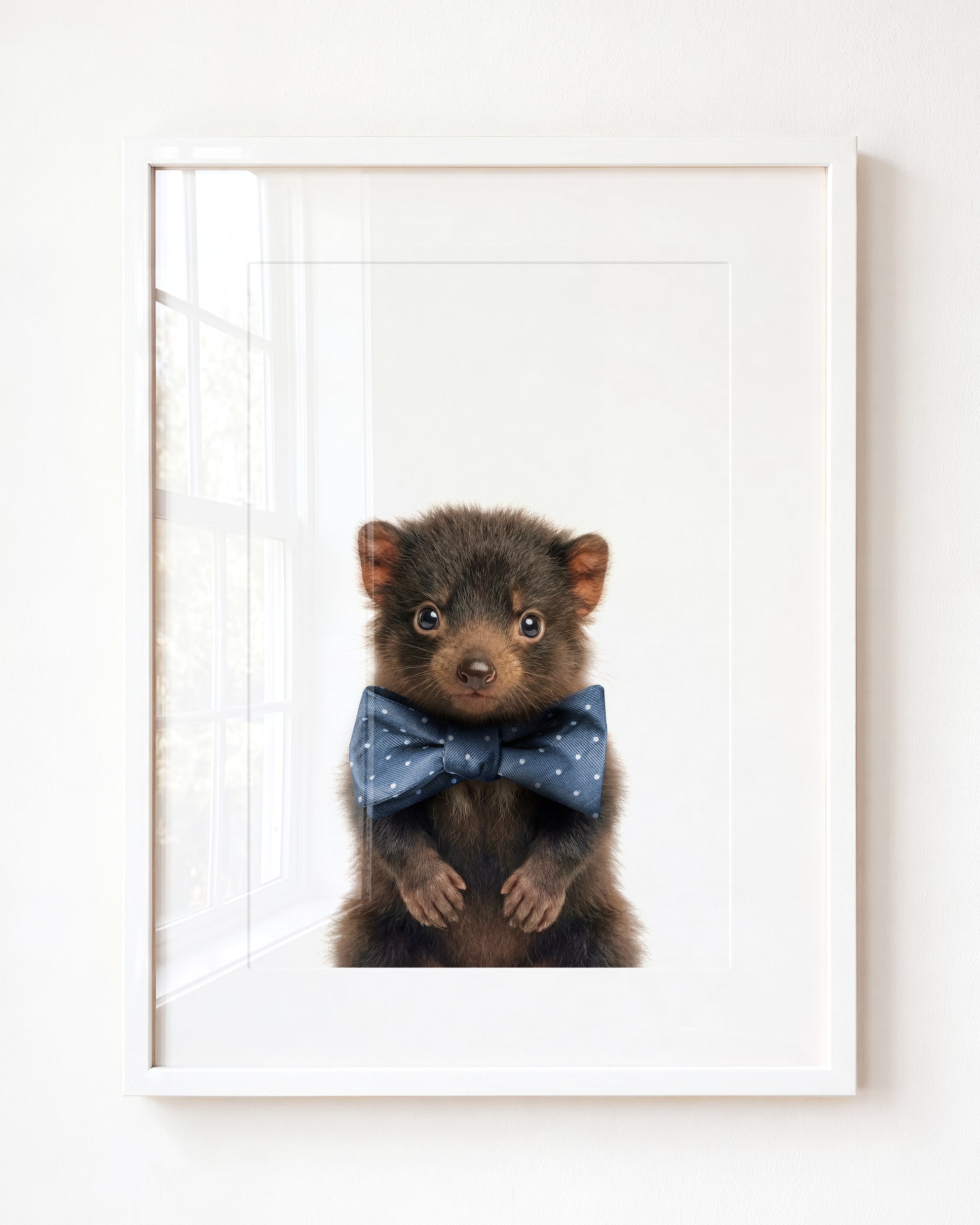 Baby Tasmanian Devil