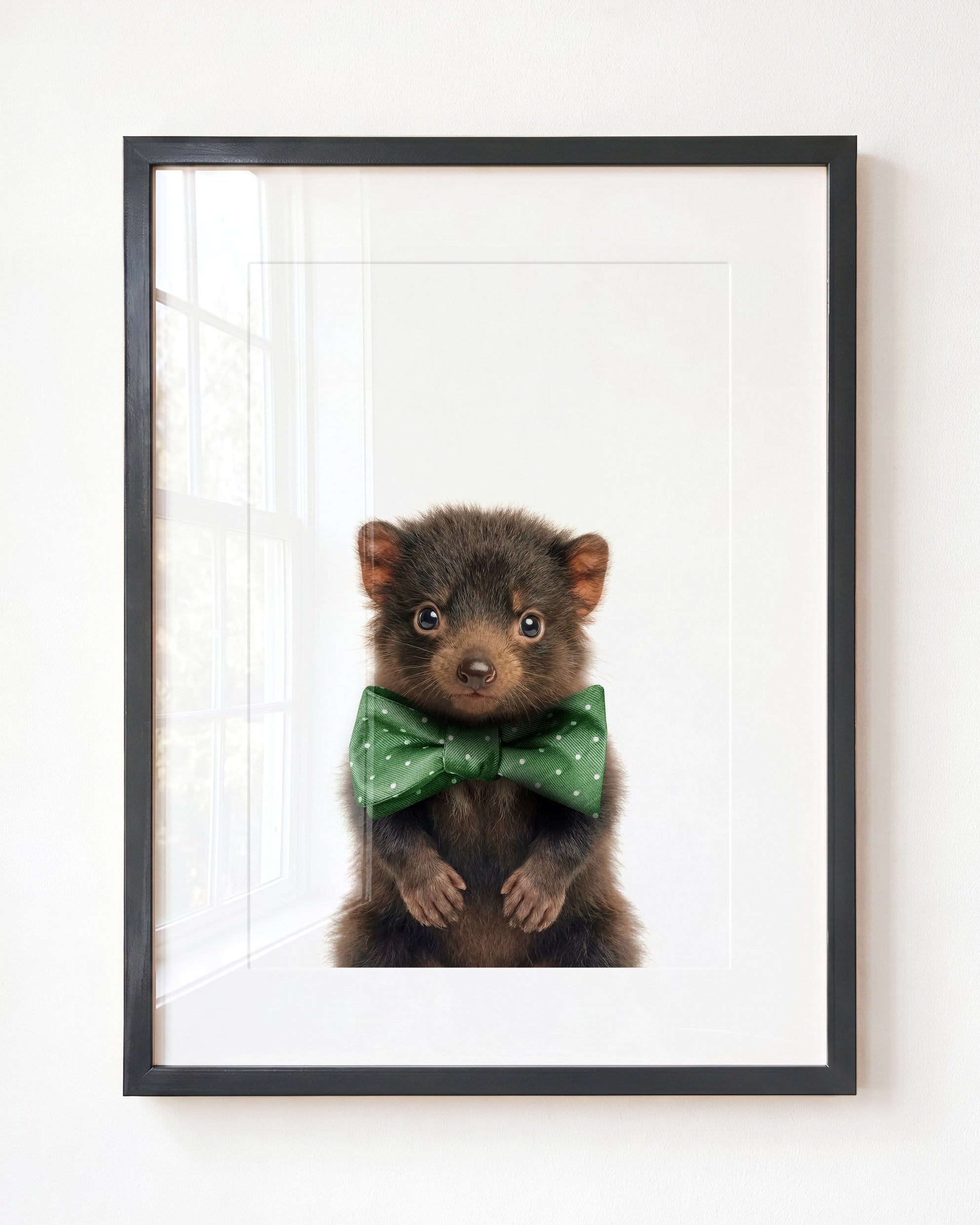 Baby Tasmanian Devil
