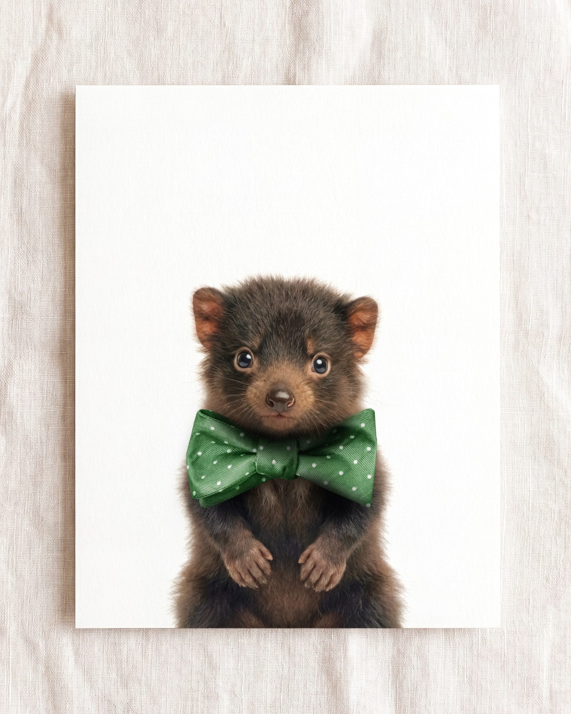 Baby Tasmanian Devil