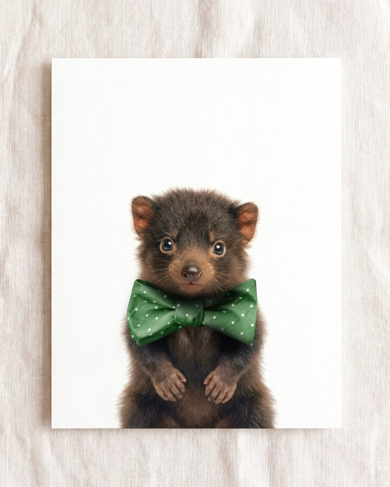Bow Tie