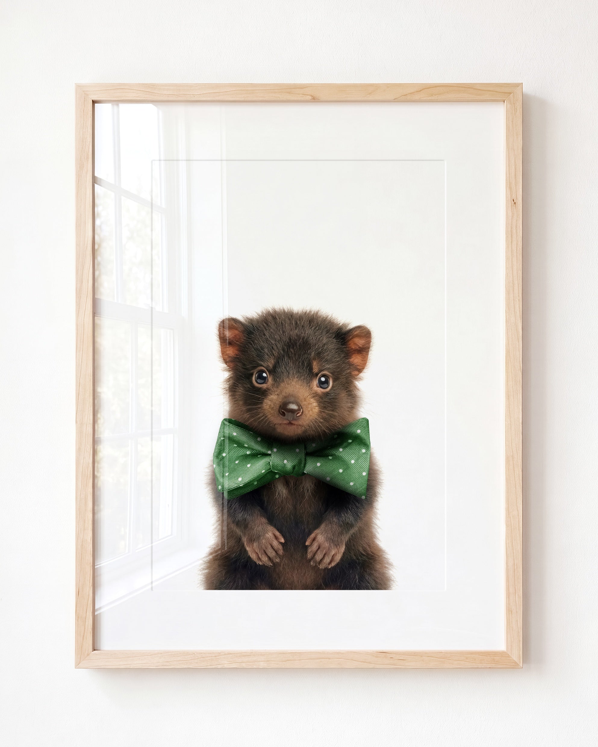 Baby Tasmanian Devil
