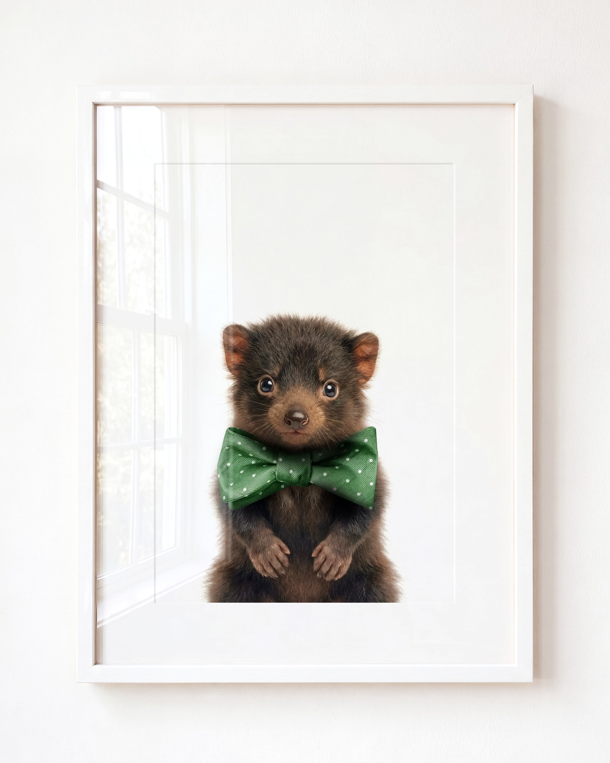 Baby Tasmanian Devil