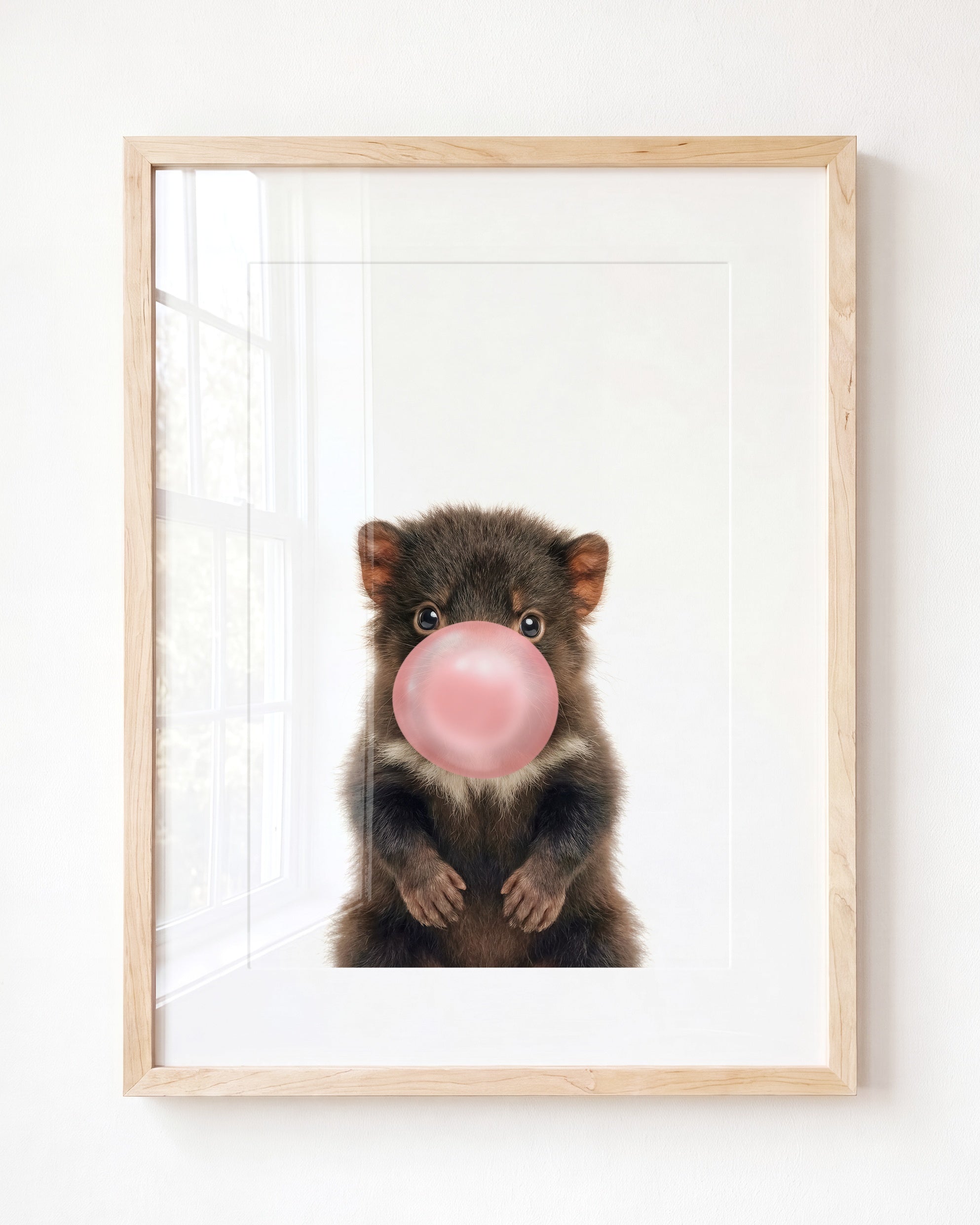 Baby Tasmanian Devil