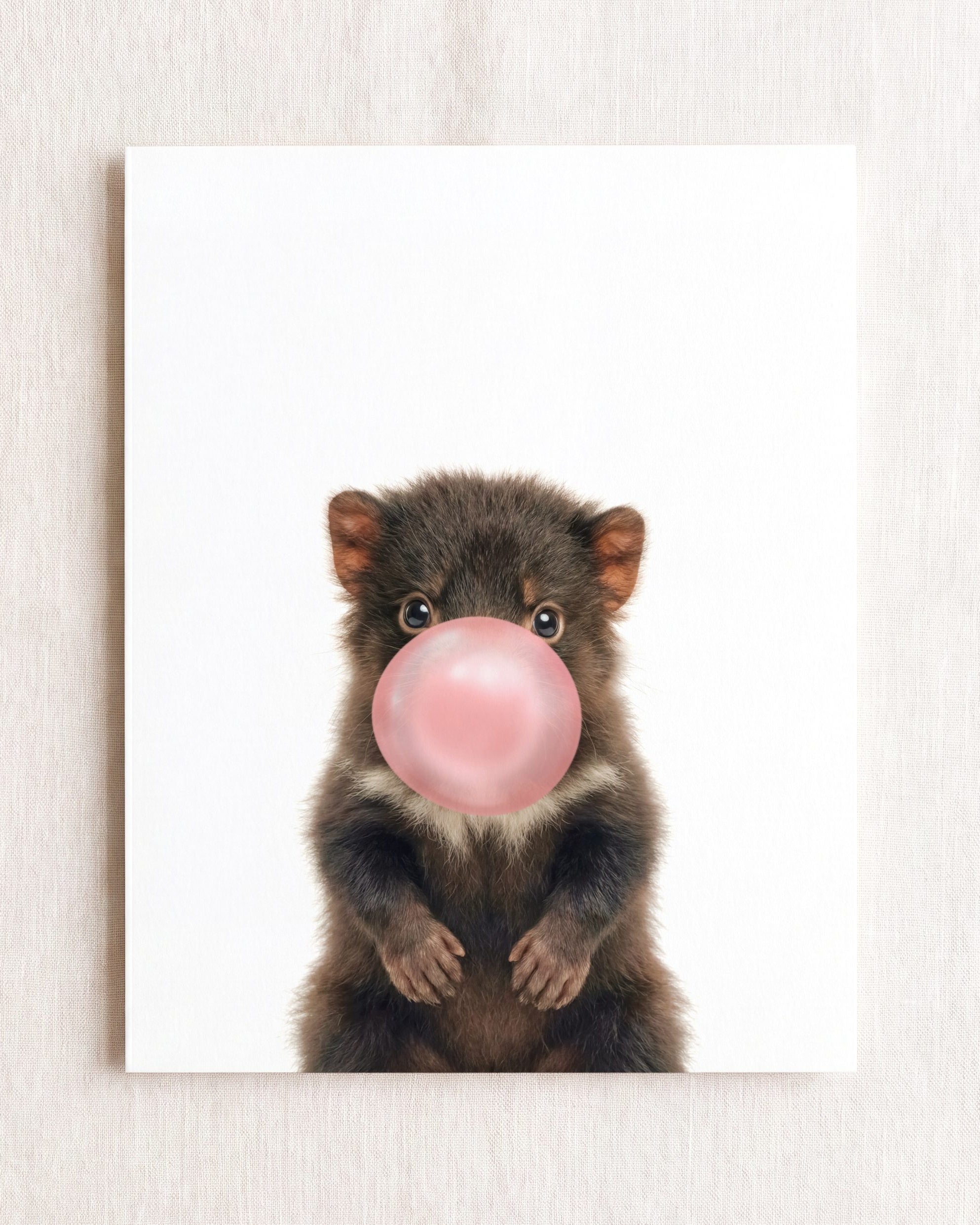Baby Tasmanian Devil