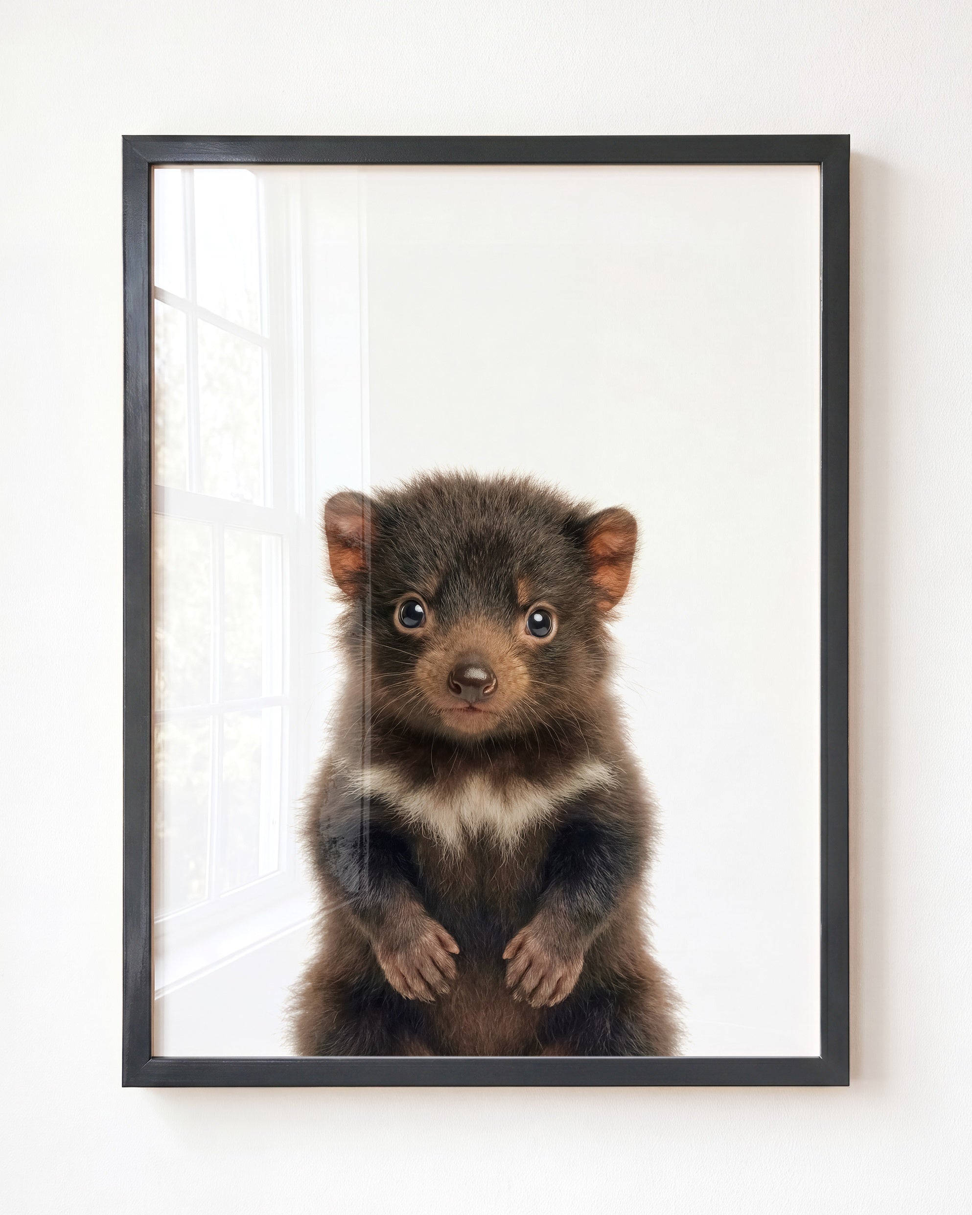 Baby Tasmanian Devil