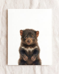 Baby Tasmanian Devil