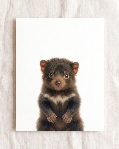 Baby Tasmanian Devil
