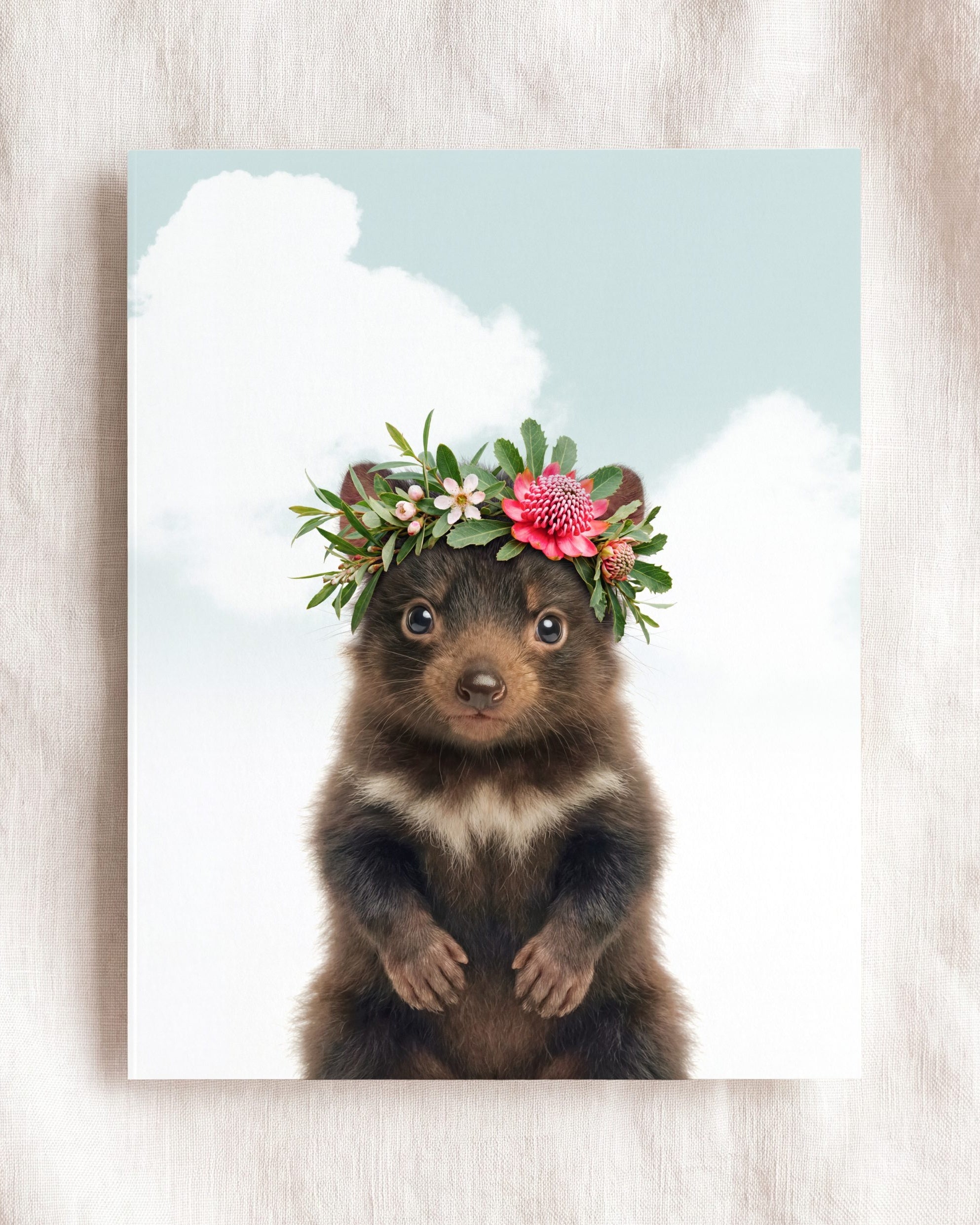 Baby Tasmanian Devil