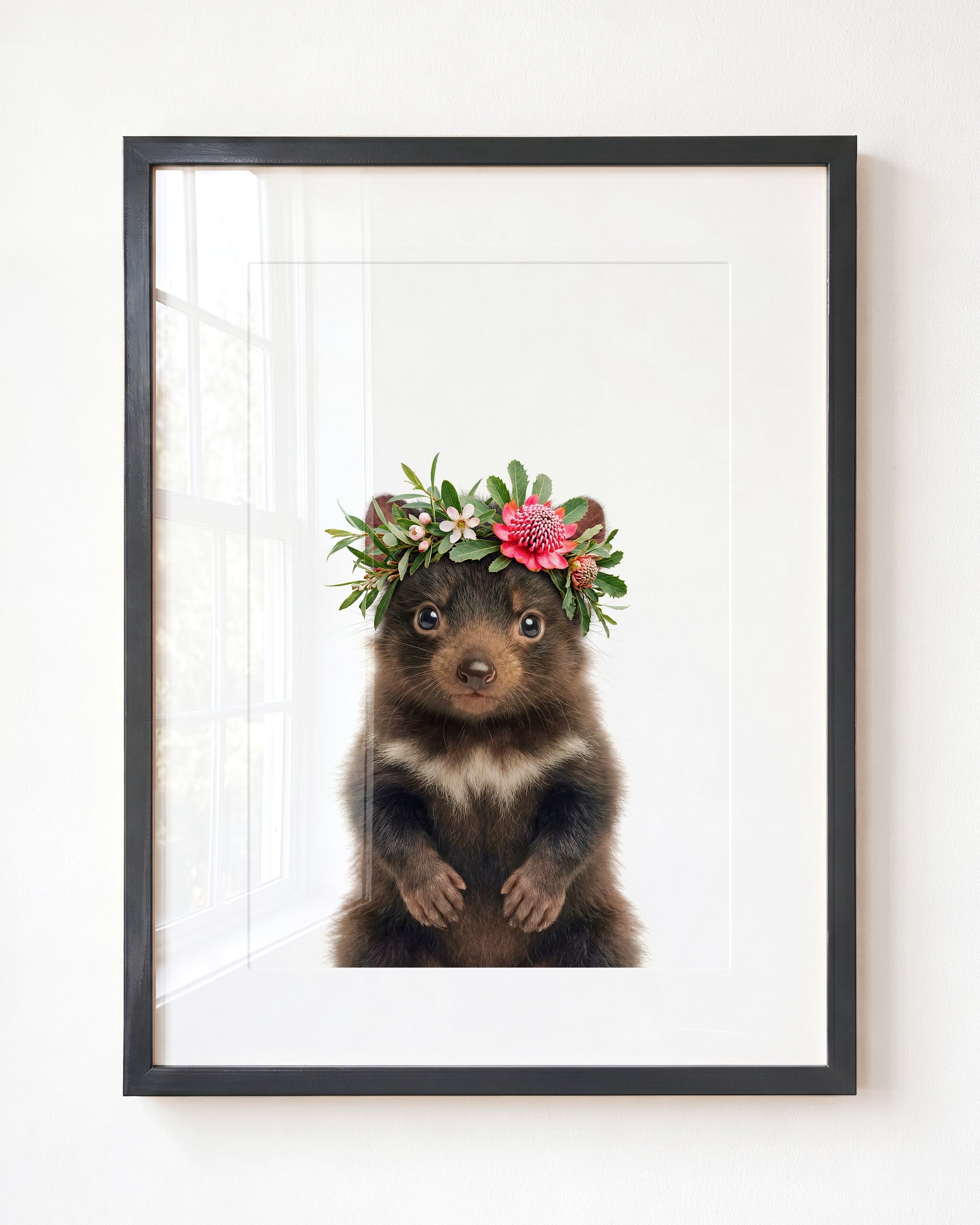 Baby Tasmanian Devil