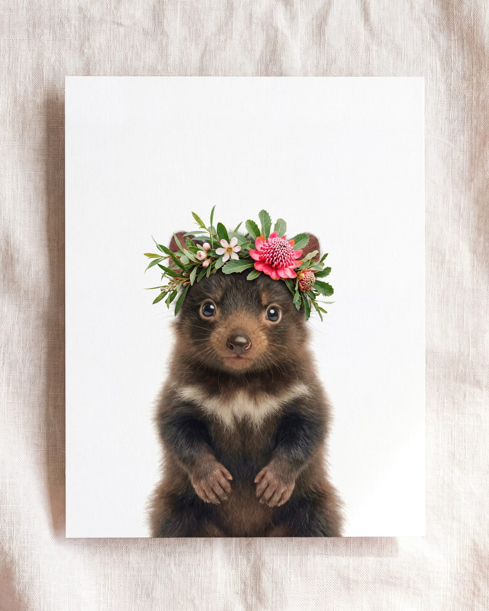 Baby Tasmanian Devil