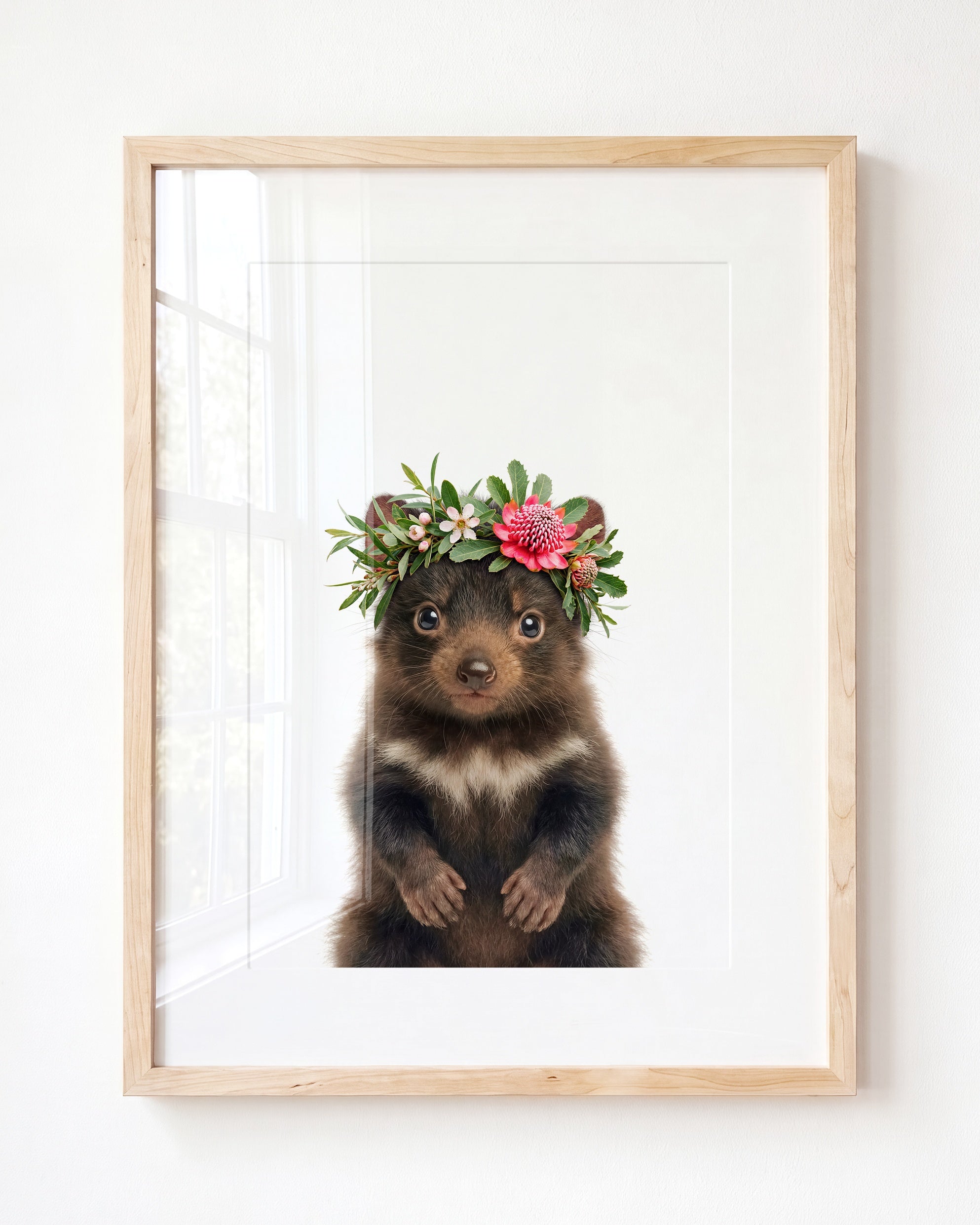 Baby Tasmanian Devil