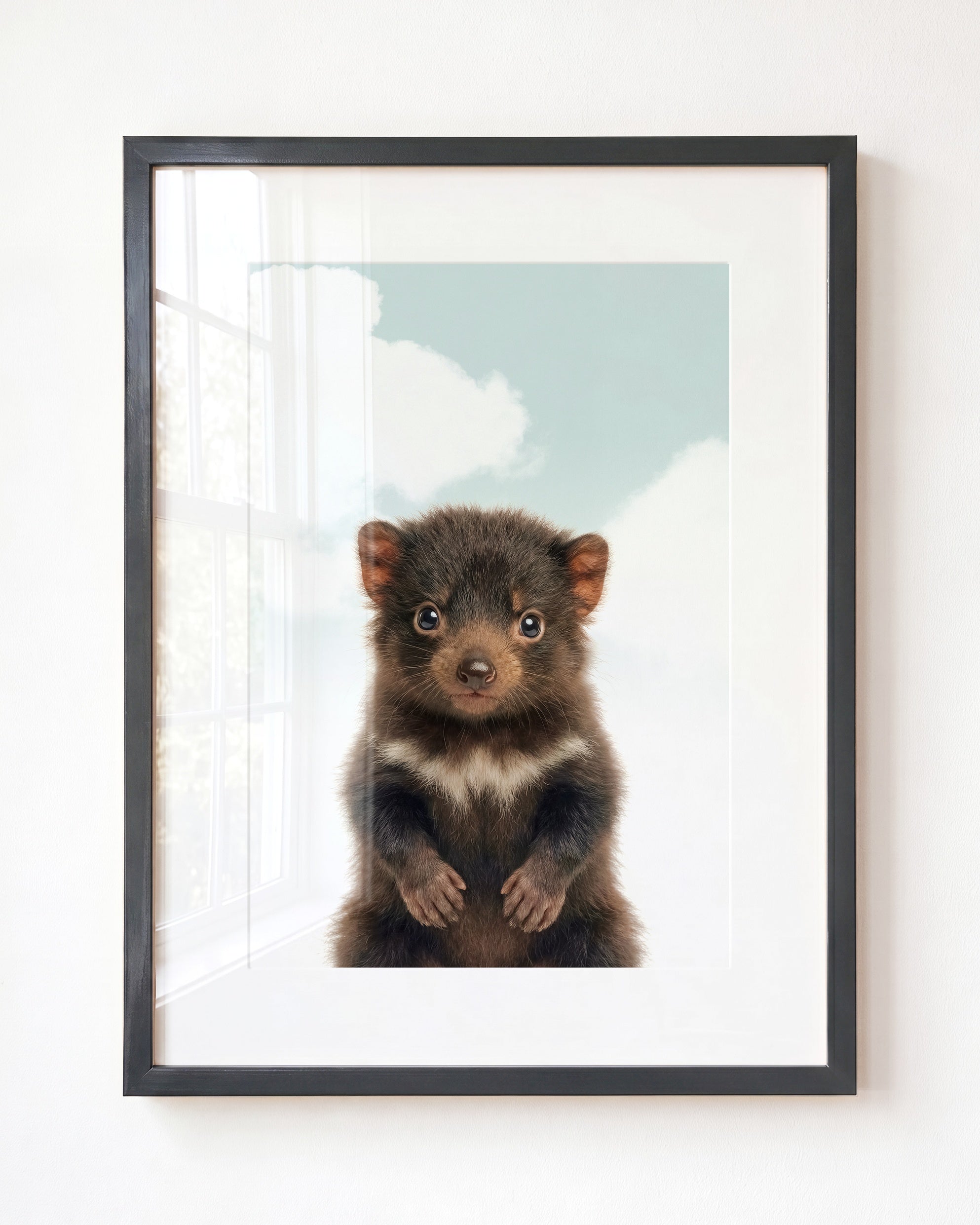 Baby Tasmanian Devil