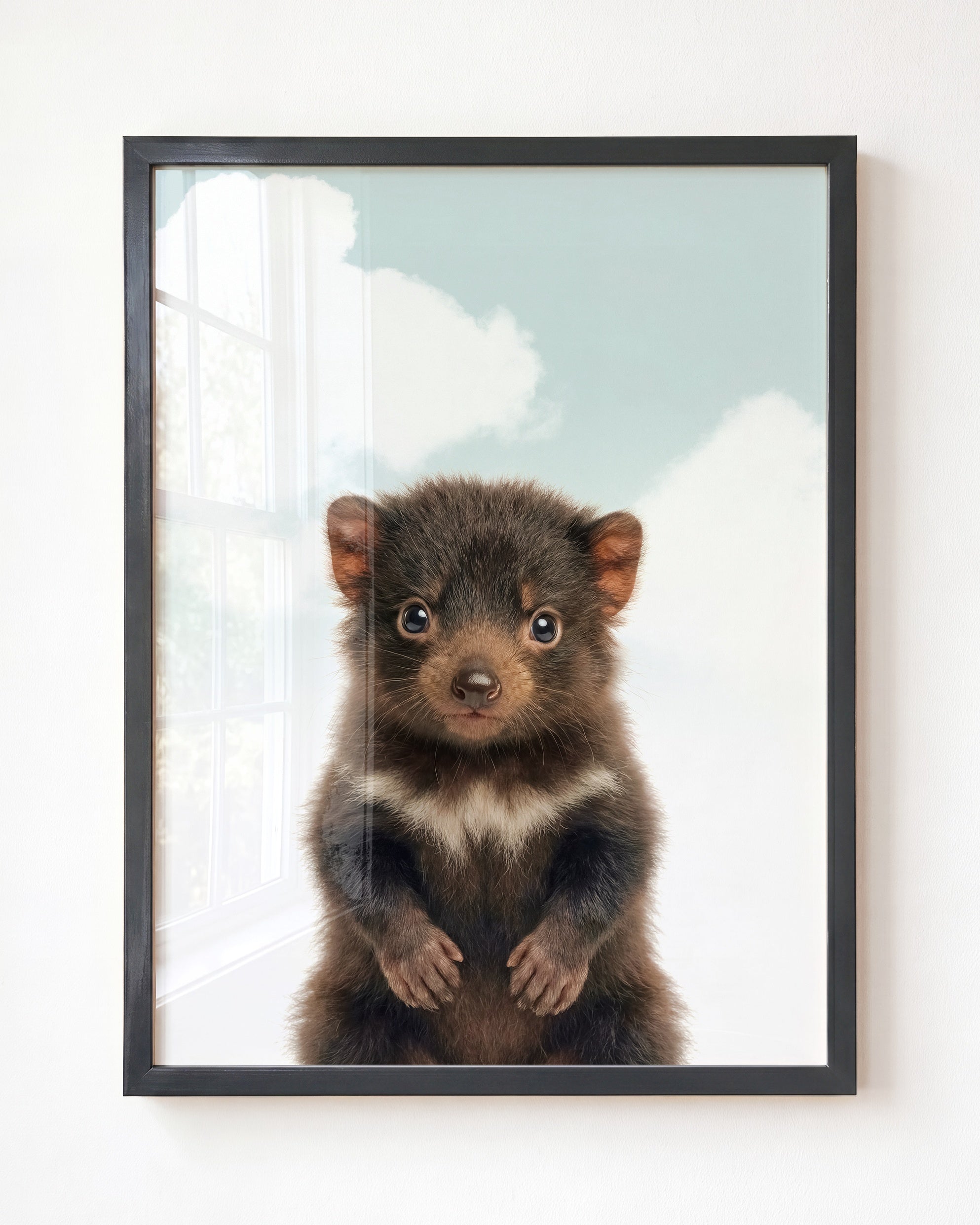 Baby Tasmanian Devil