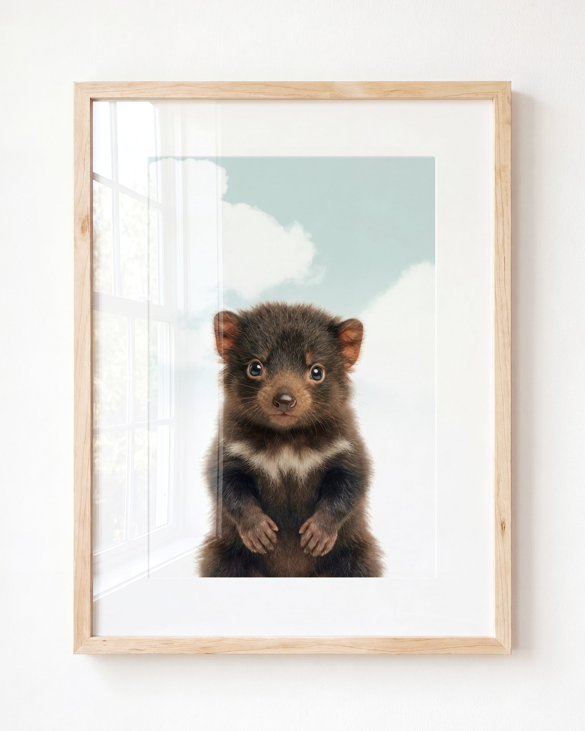 Baby Tasmanian Devil
